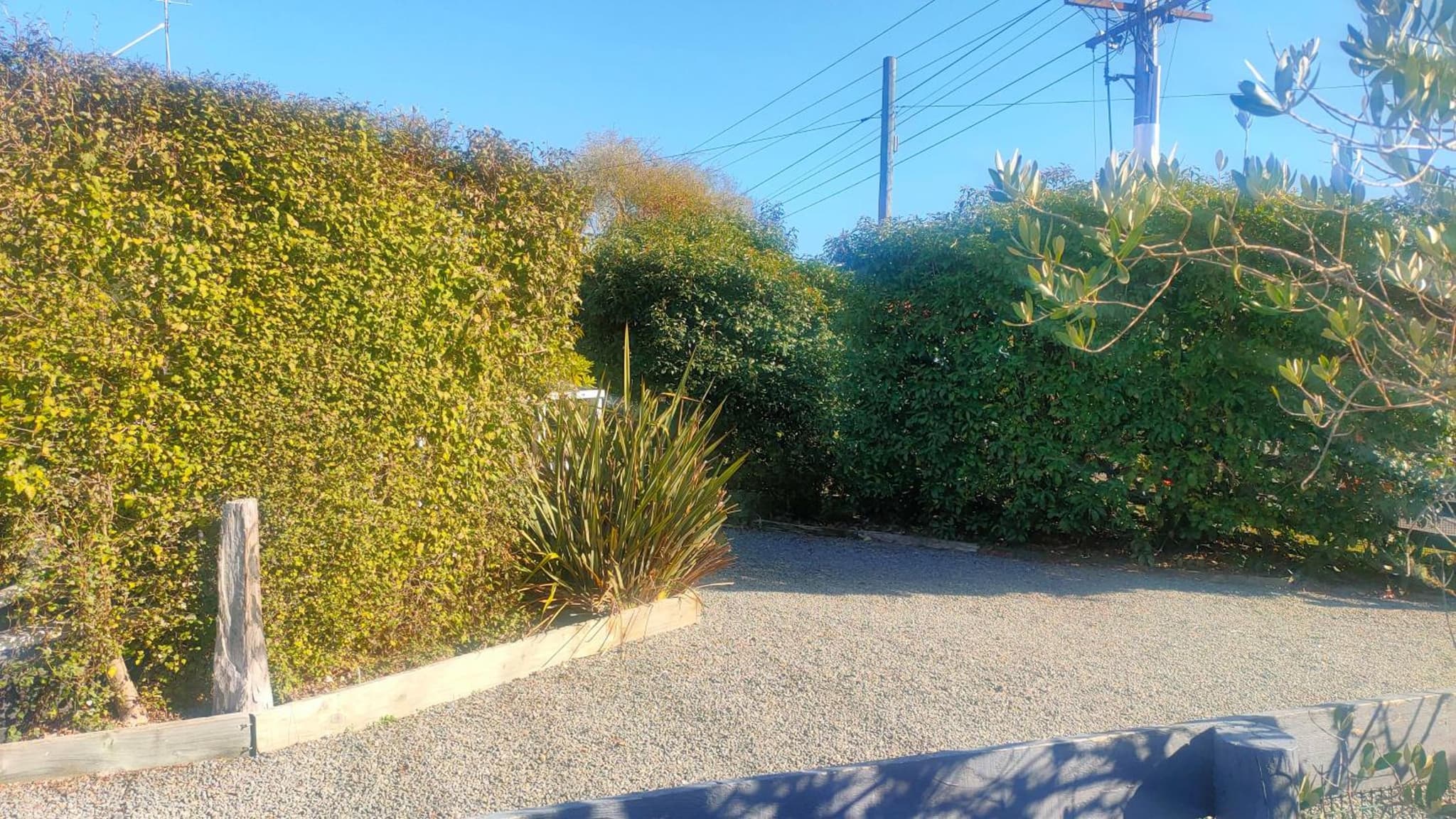 Tui Cottage photo 8