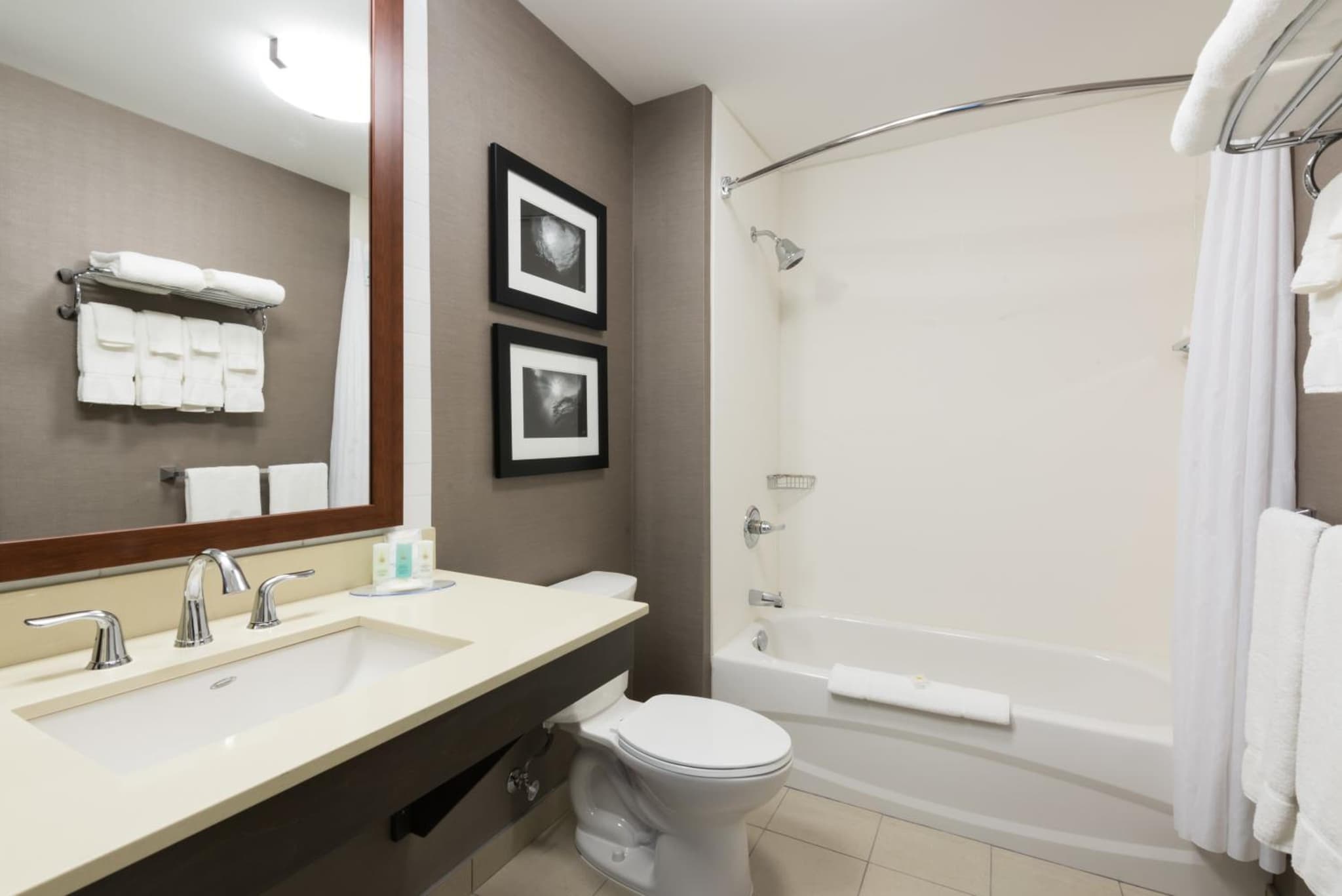 Comfort Inn & Suites photo 4