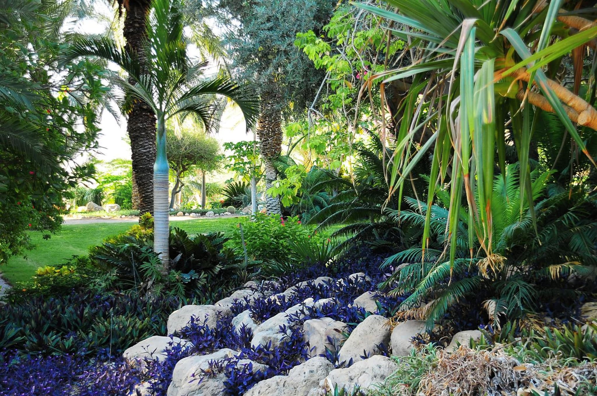 Ein Gedi Kibbutz Hotel photo 9