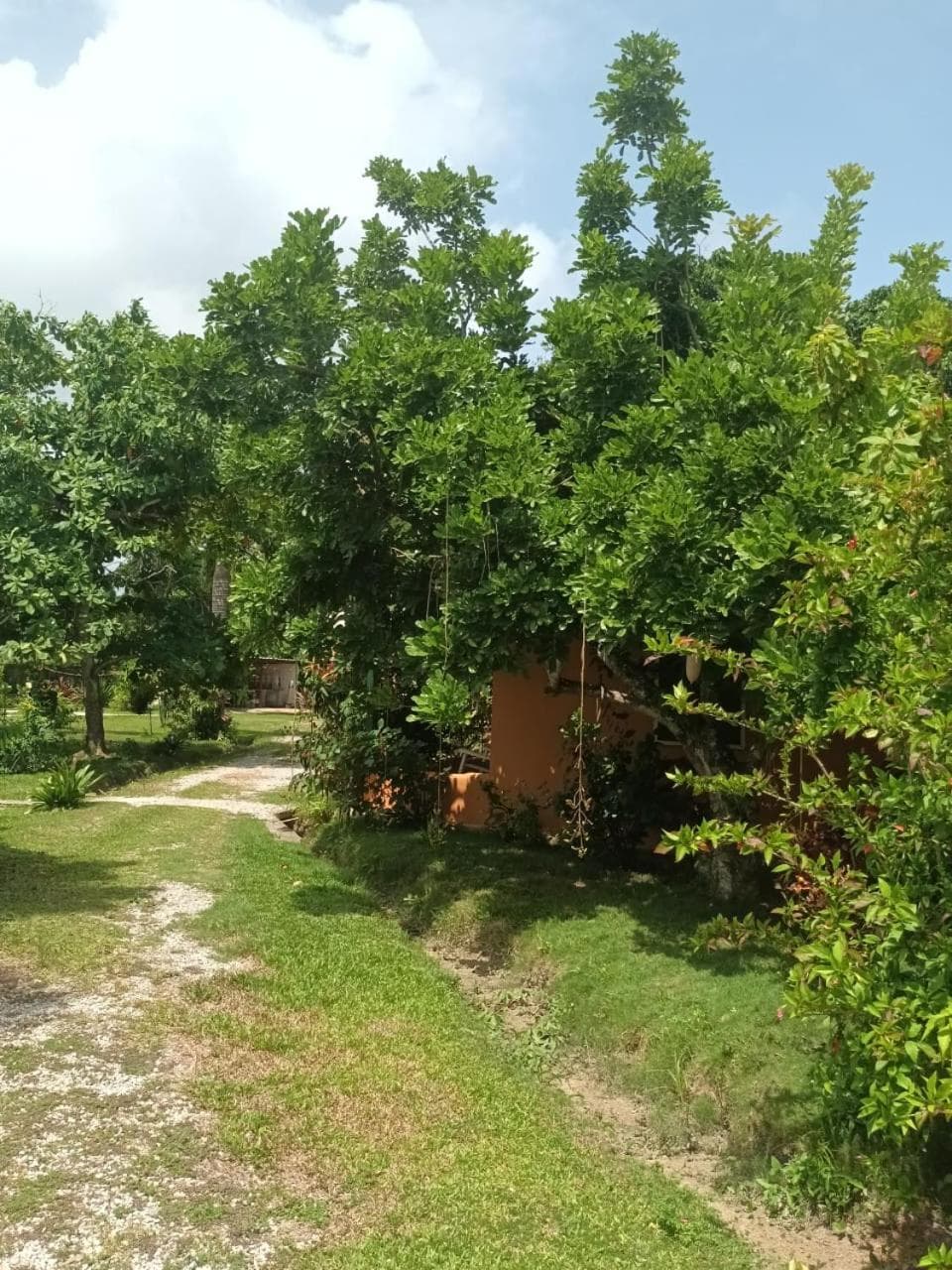 Fata Morgana Eco Hotel photo 3