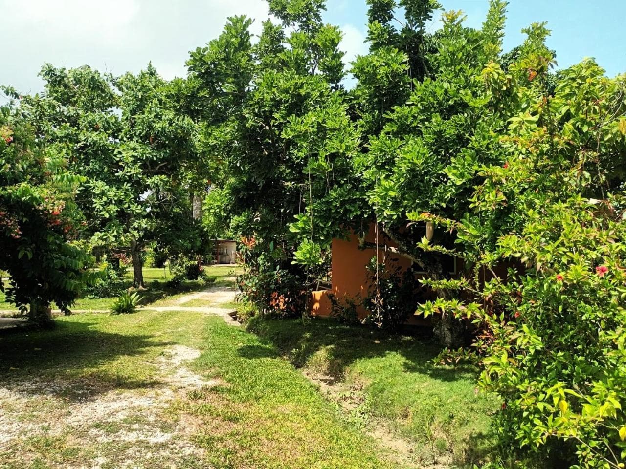 Fata Morgana Eco Hotel photo 4