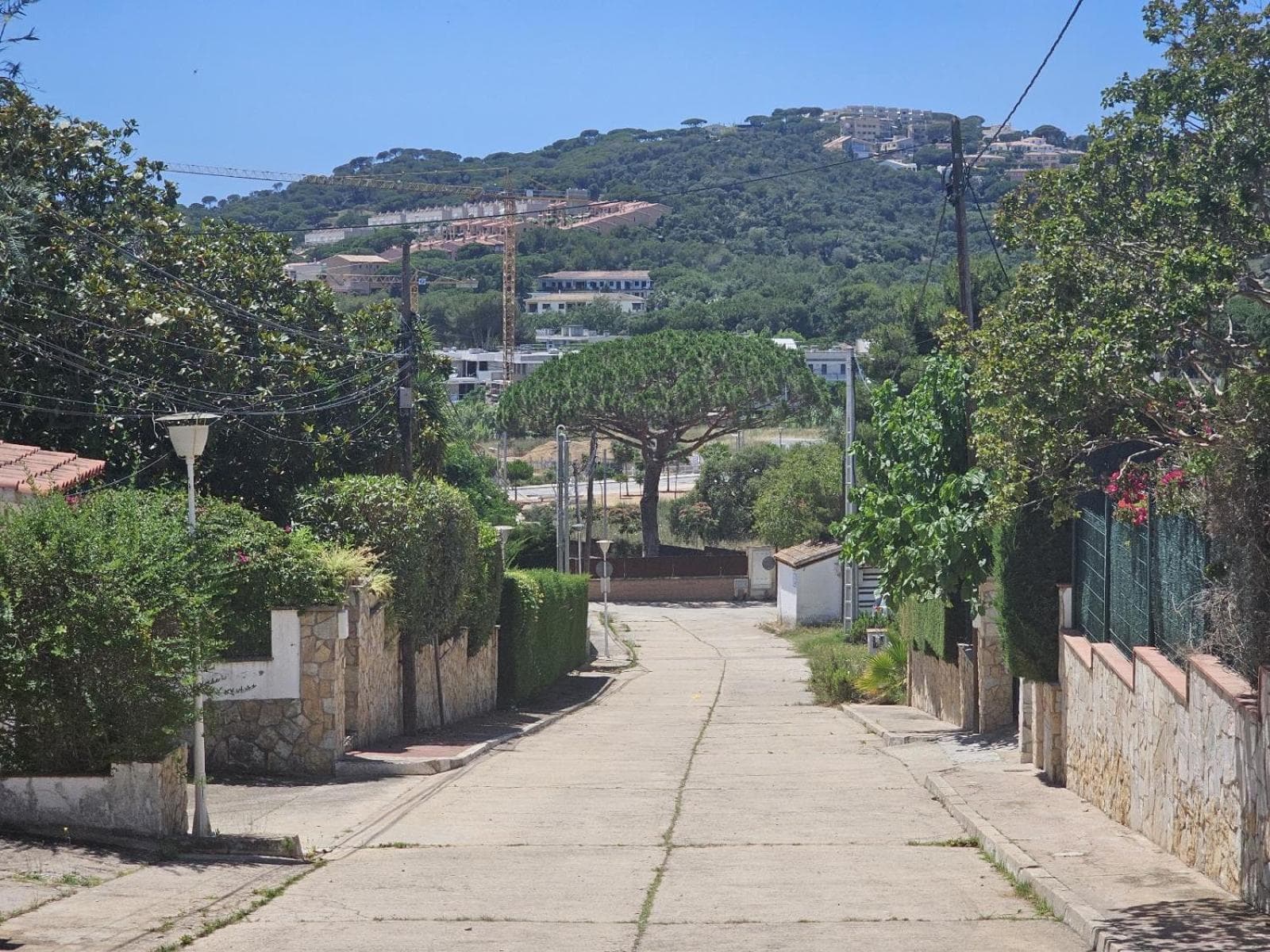 Villa Del Sol photo 6