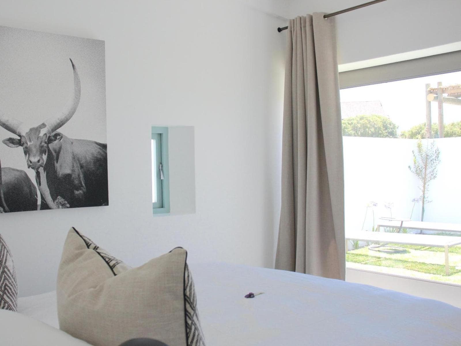 The Cottage Collection Paternoster photo 2