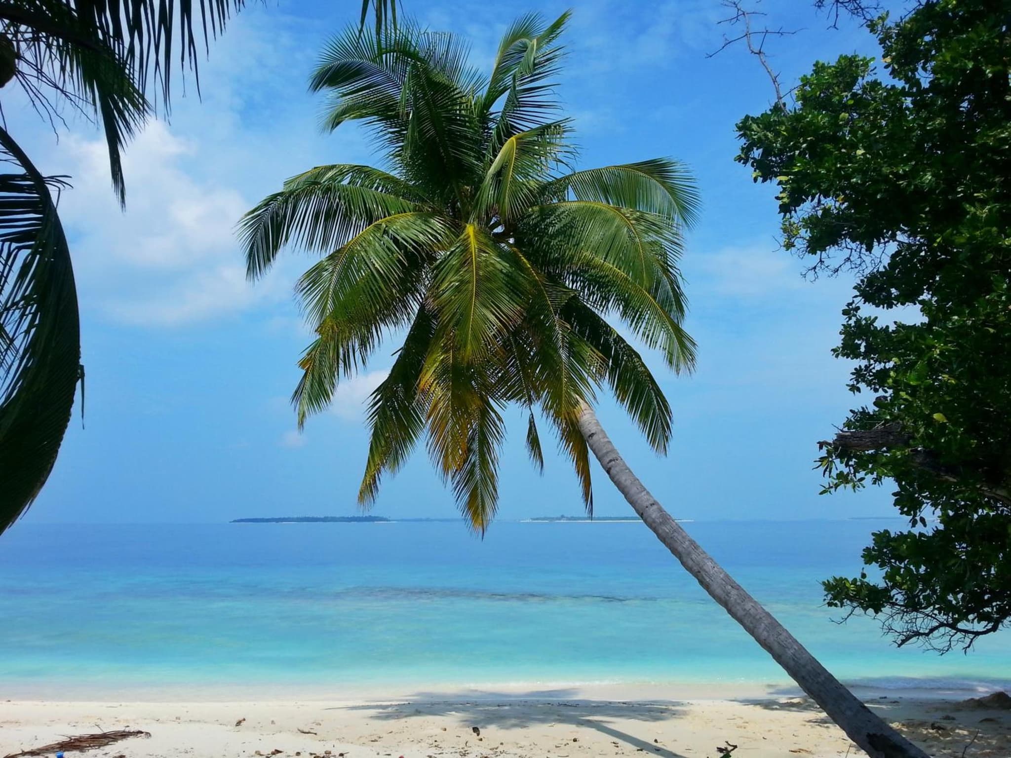 Hanifaru Transit Inn photo 5