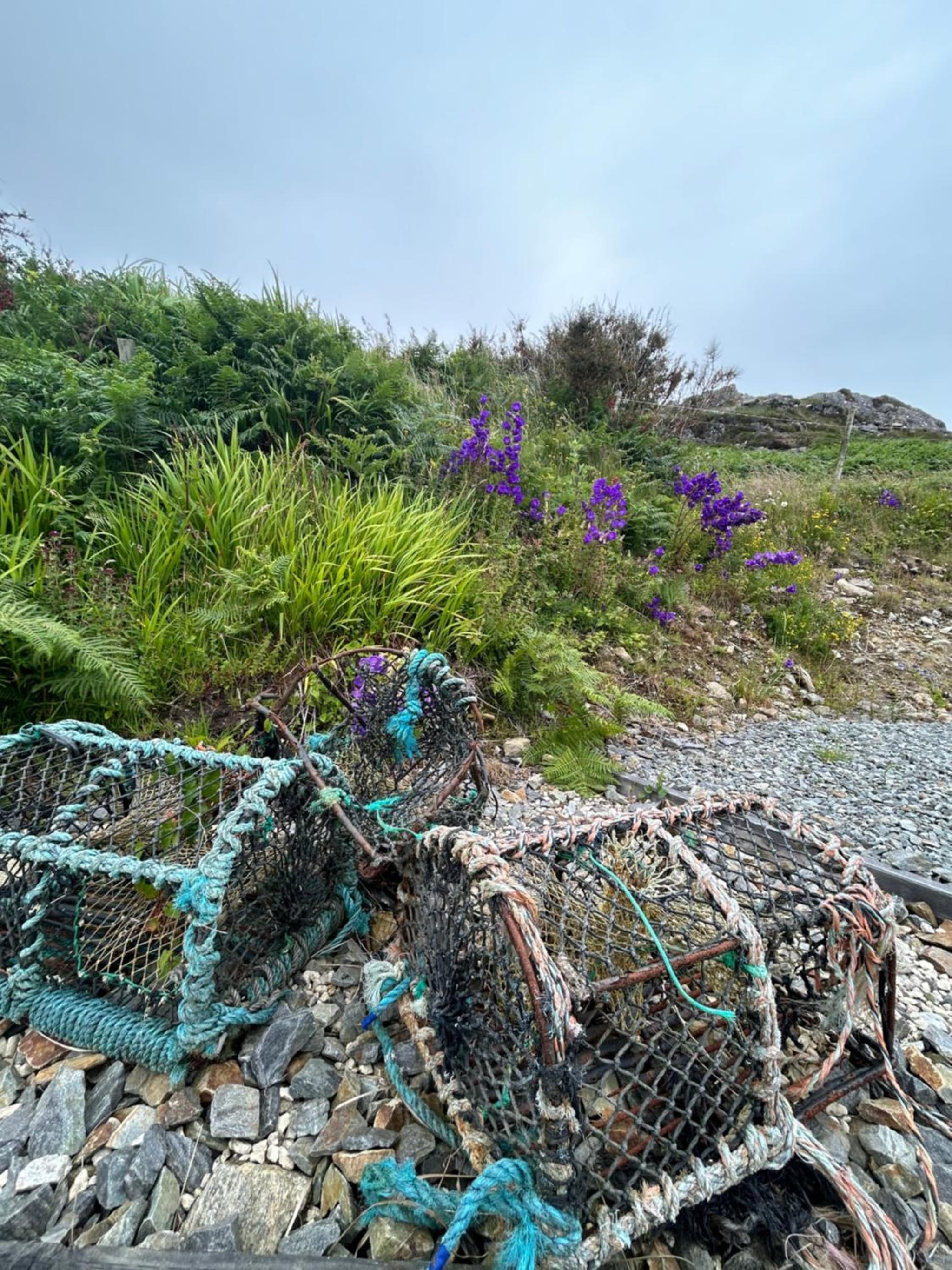 Mary’s Seaview Clifden photo 4