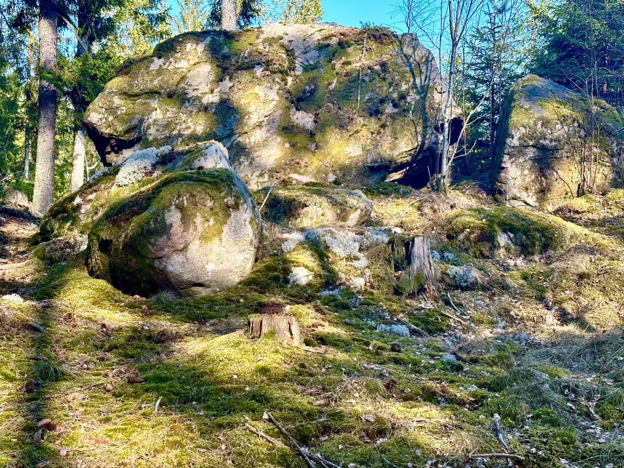 Villa Rönhult photo 6