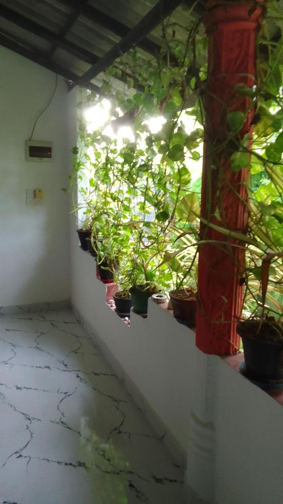 Pranu House photo 2