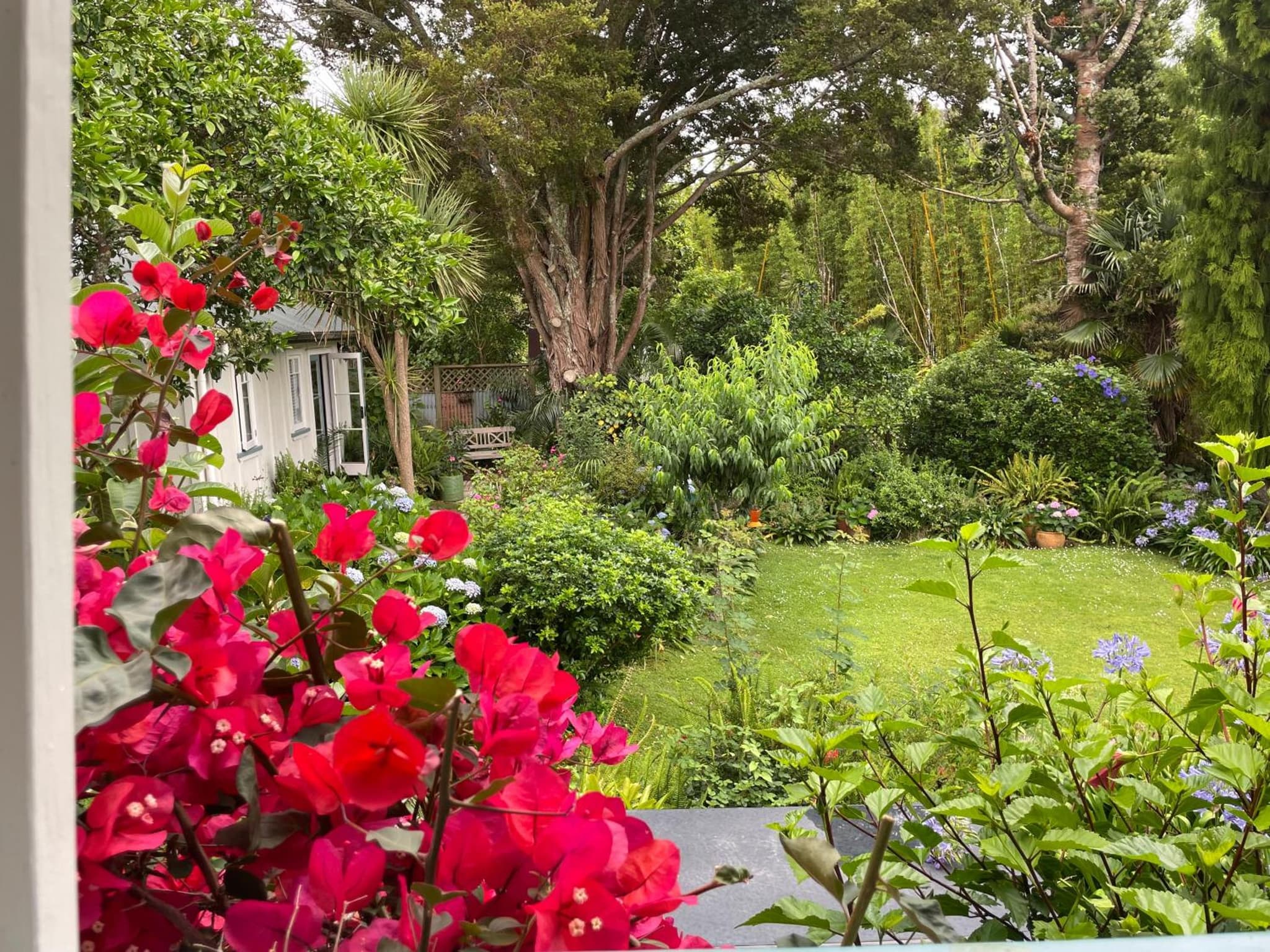 Wisteria Cottage photo 7