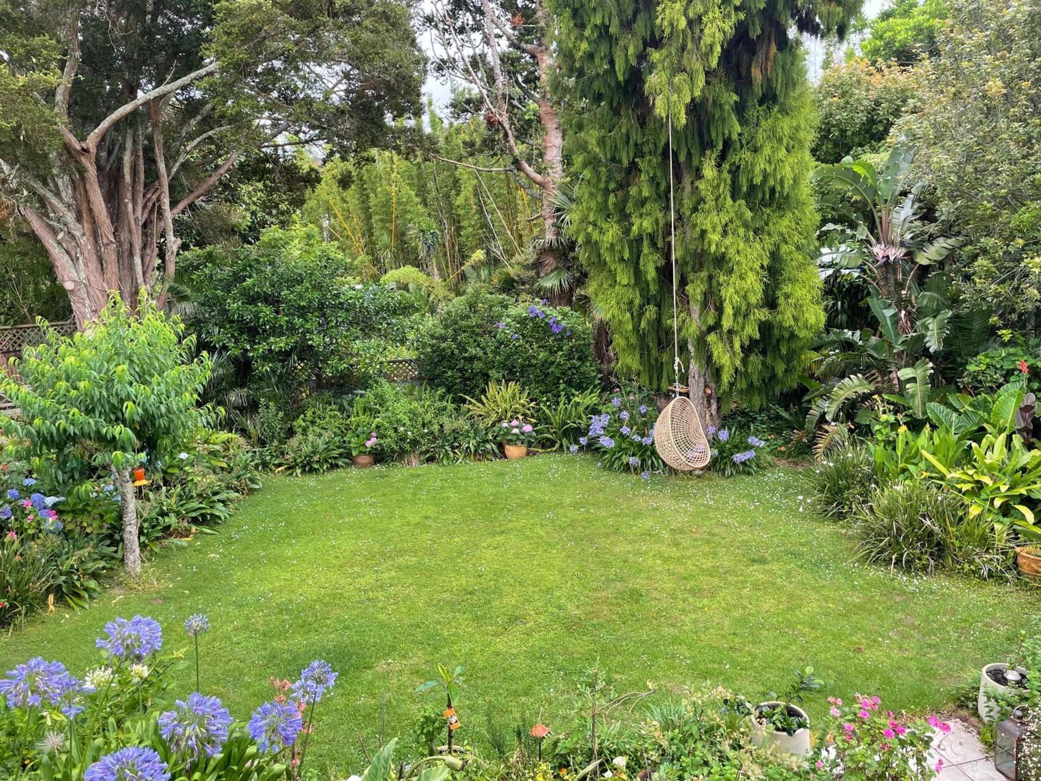Wisteria Cottage photo 6