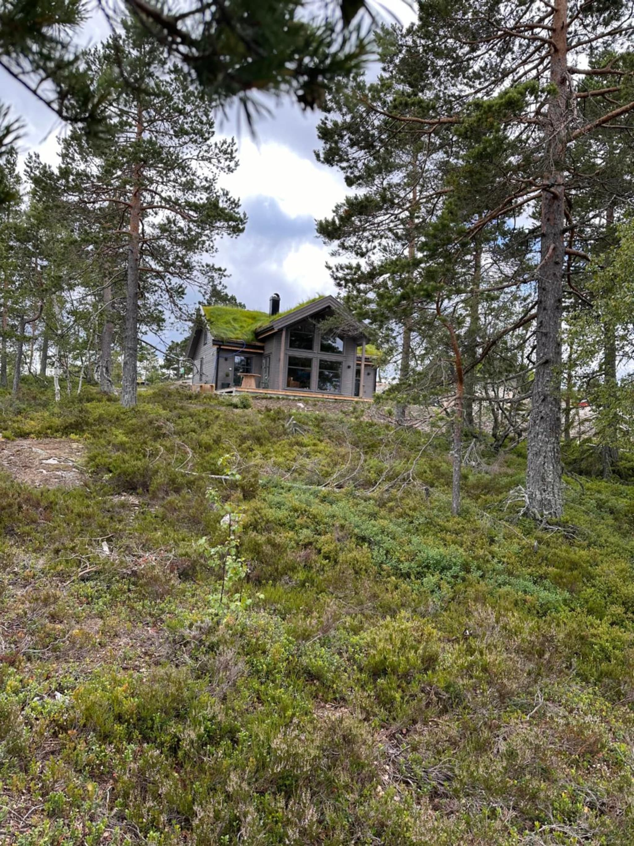 Moderne fjellhytte Gautefall, Norge