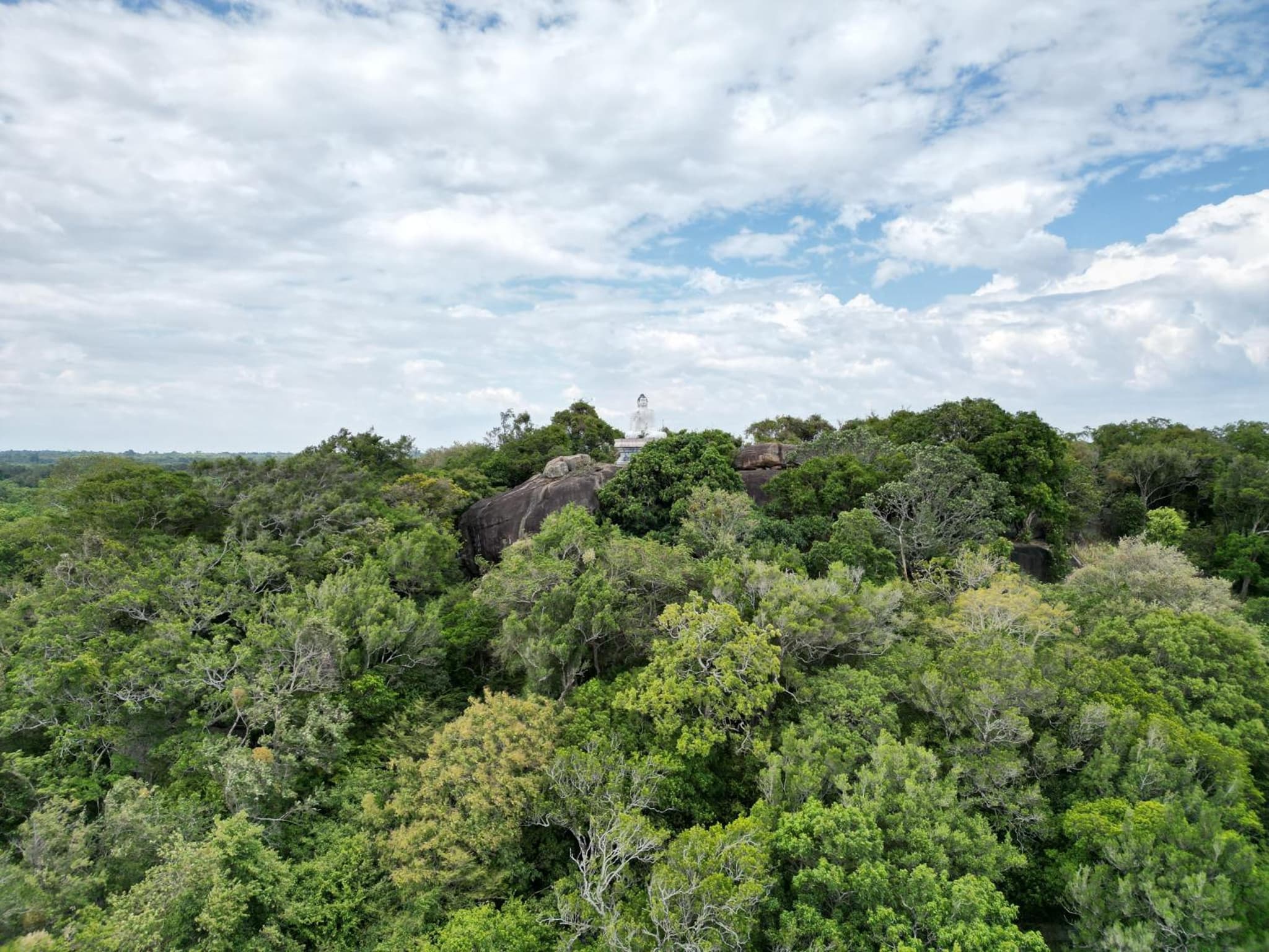 Into The Wild Sigiriya photo 3