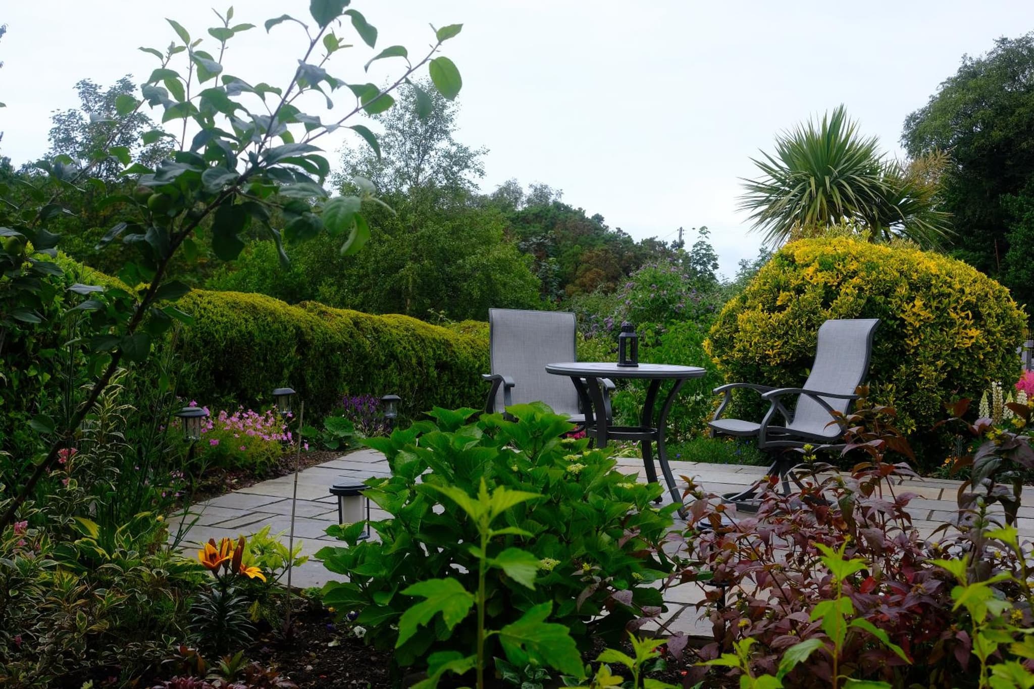 Ardenlea photo 9