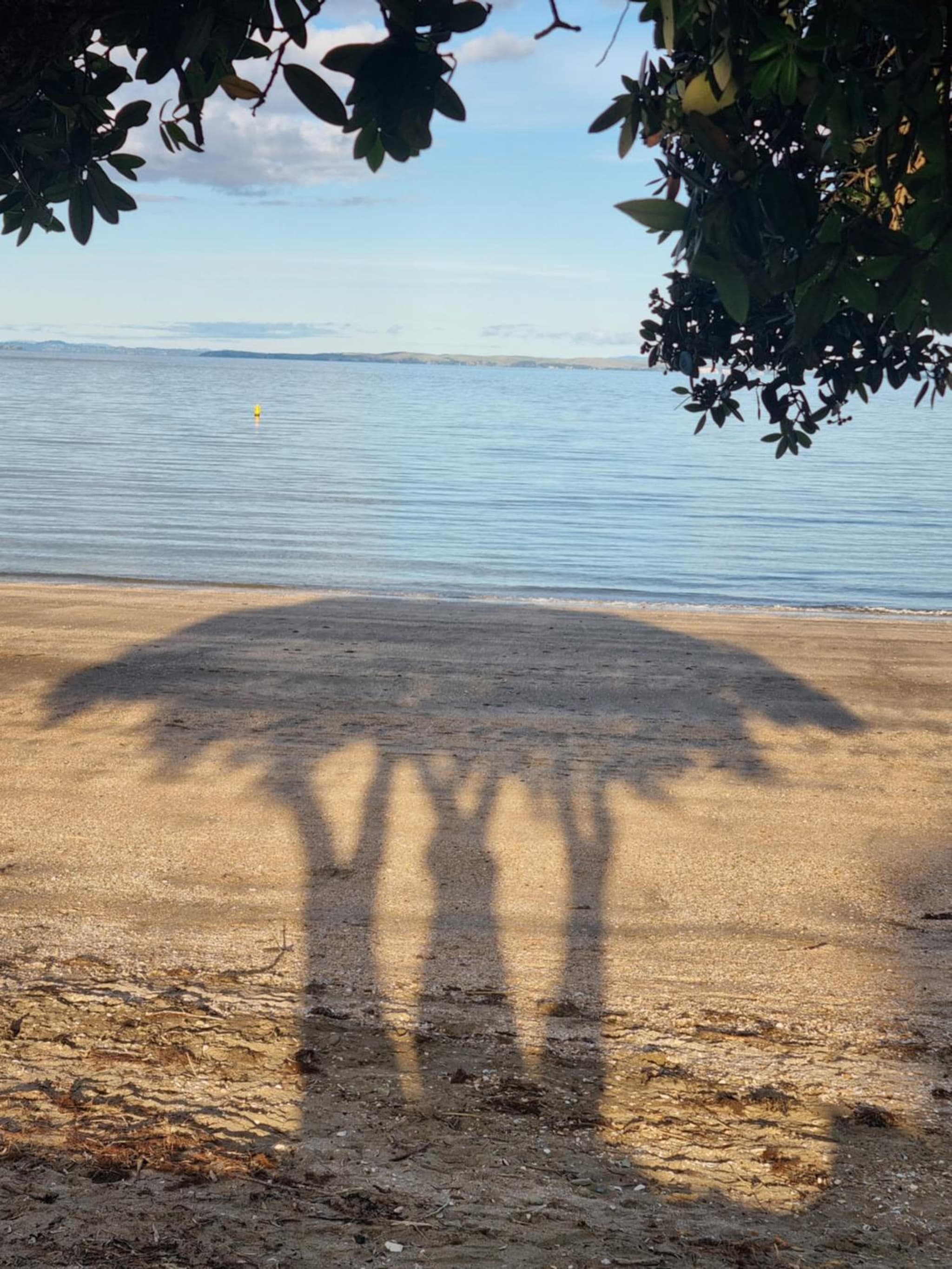 Beachfront Beauty photo 8