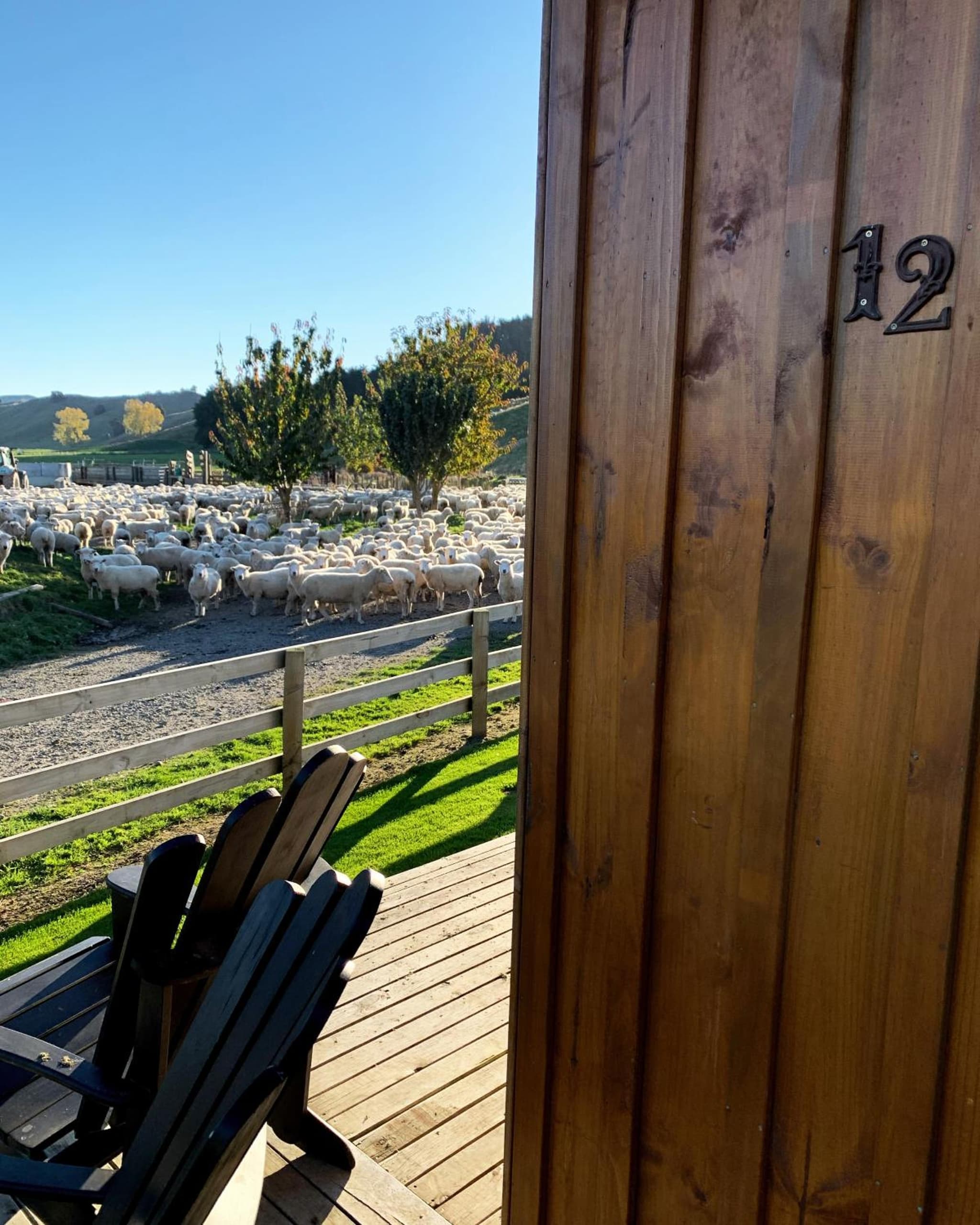 Ohingaiti Farm Cottage photo 5