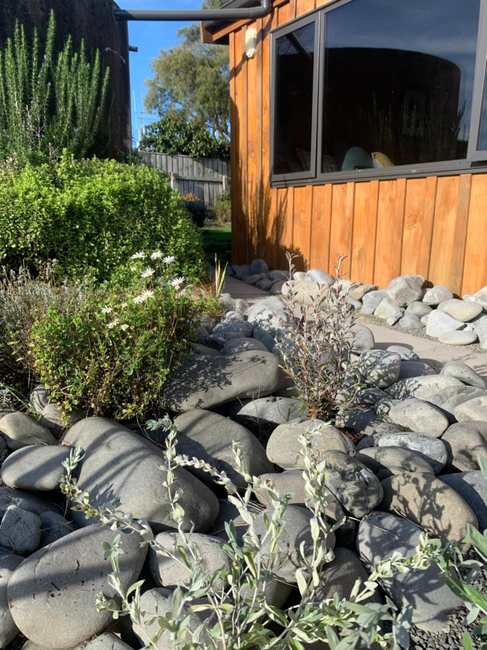 Ohingaiti Farm Cottage photo 3