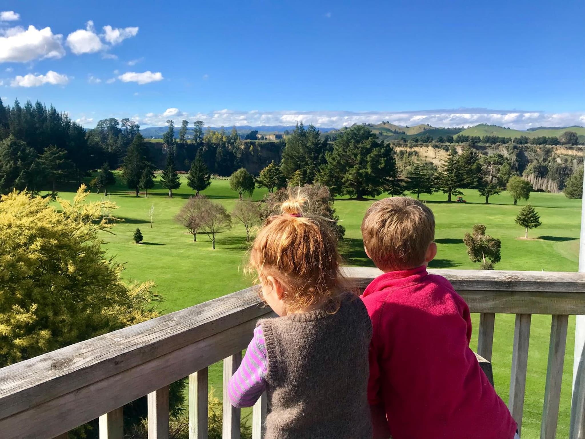 Ohingaiti Farm Cottage photo 9