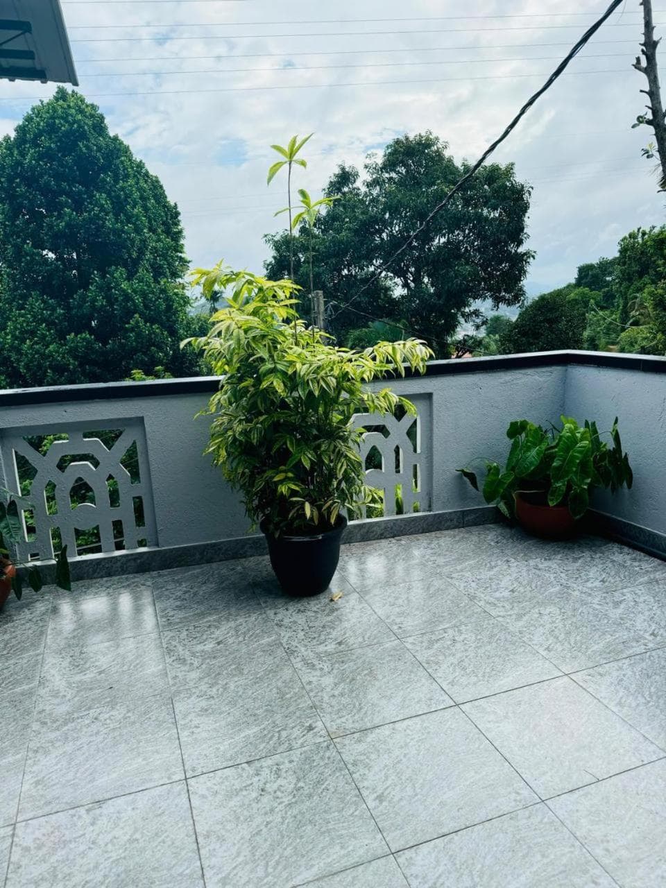 La Isla Homestay photo 6