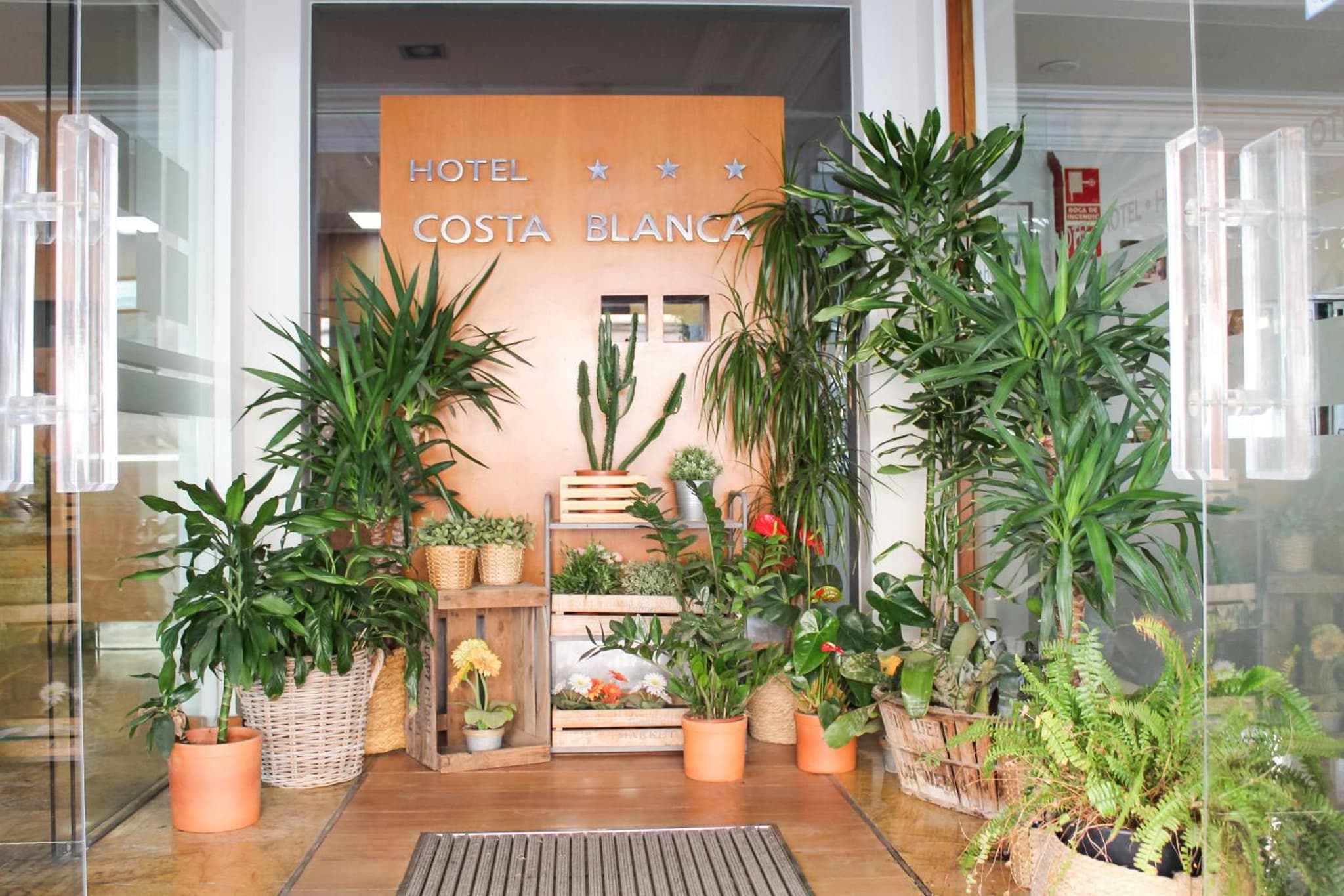 Hotel MR Costa Blanca photo 2
