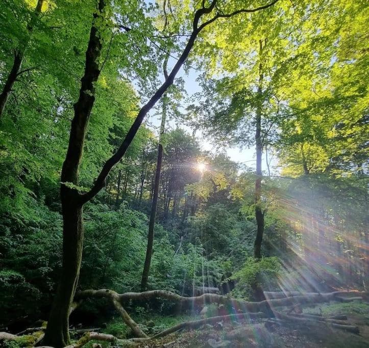 Granåsens lägenhetsuthyrning photo 8