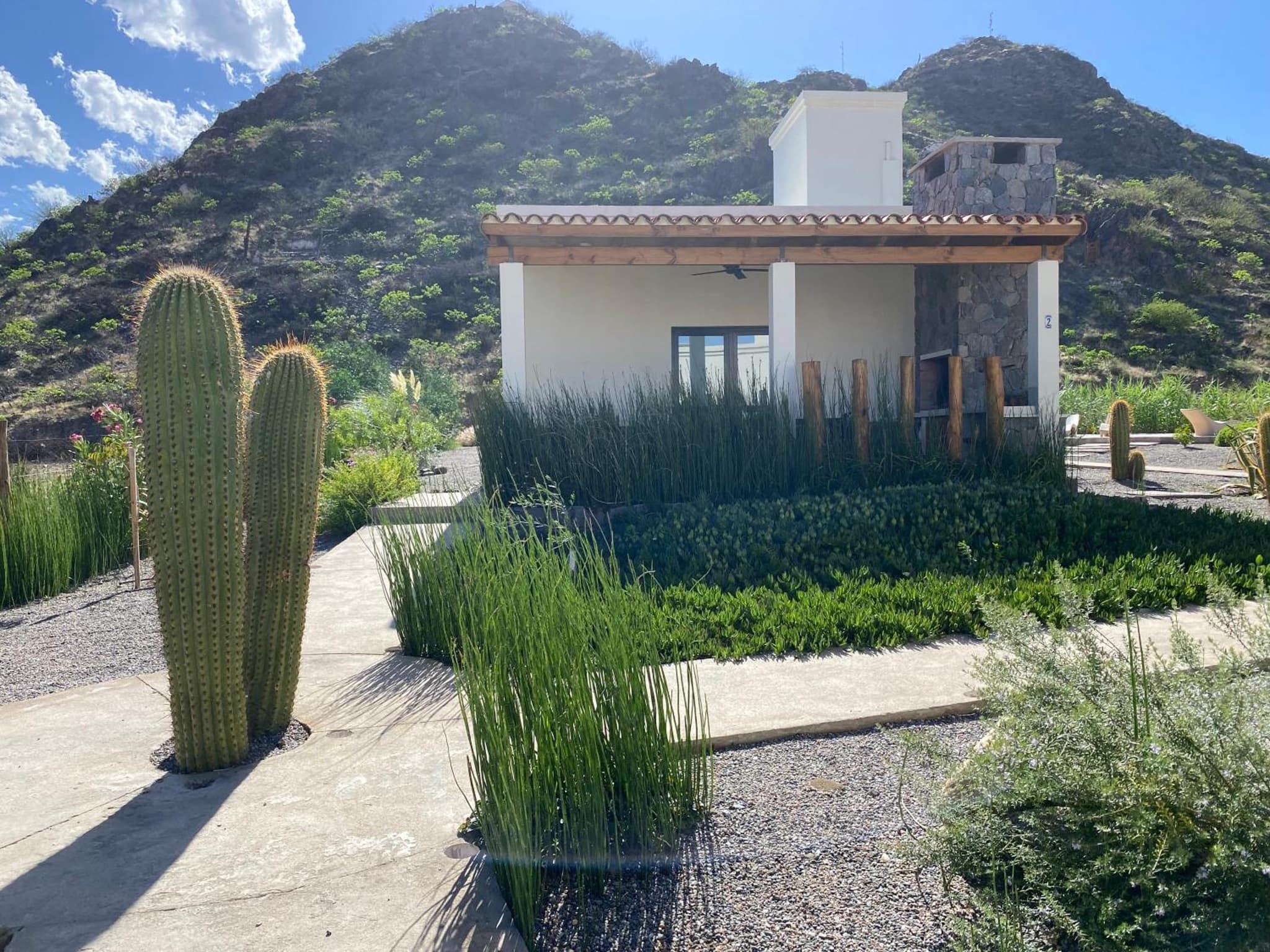 Complejo Los Olivos photo 3