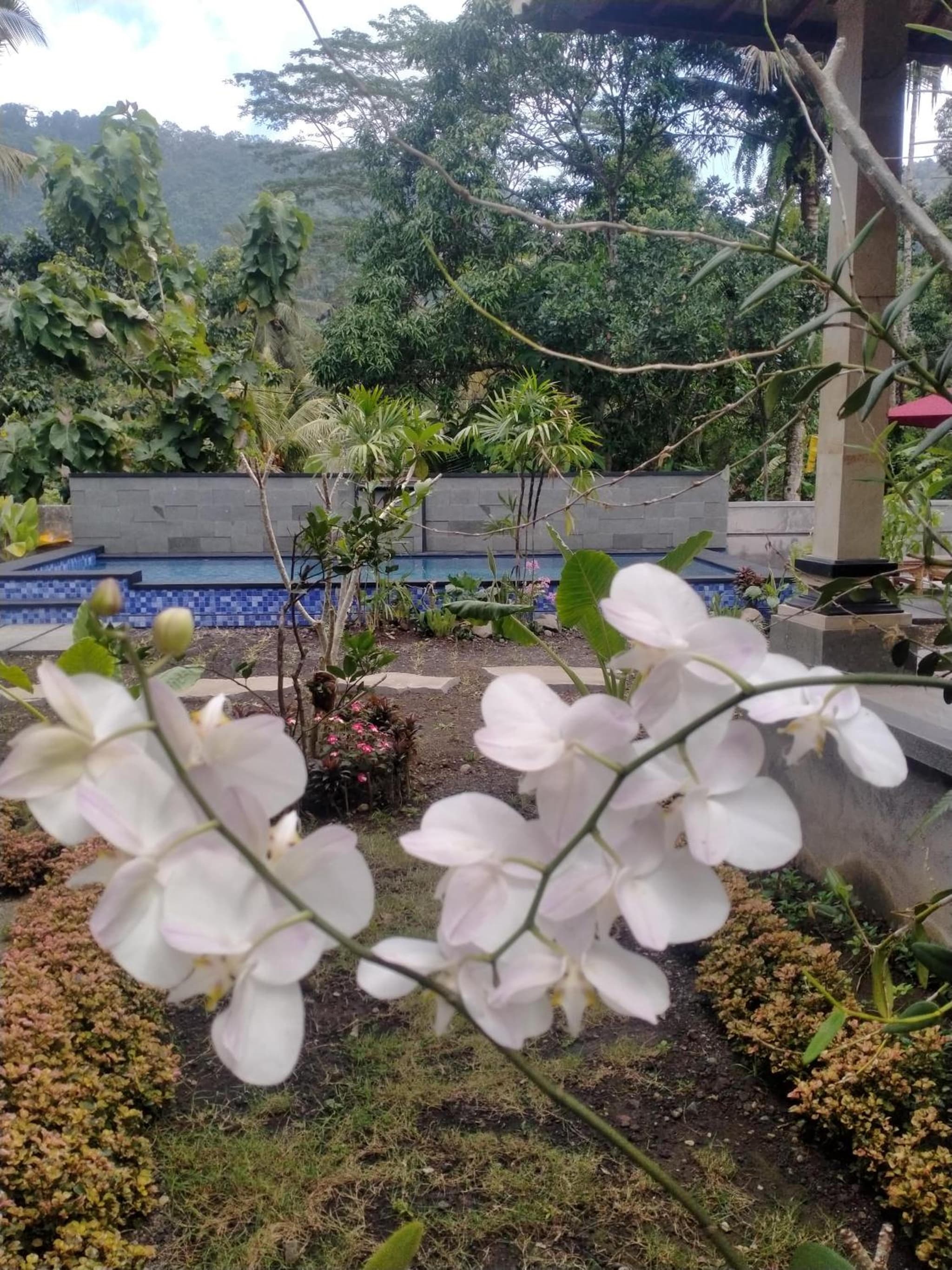 Intan sidemen villa photo 5