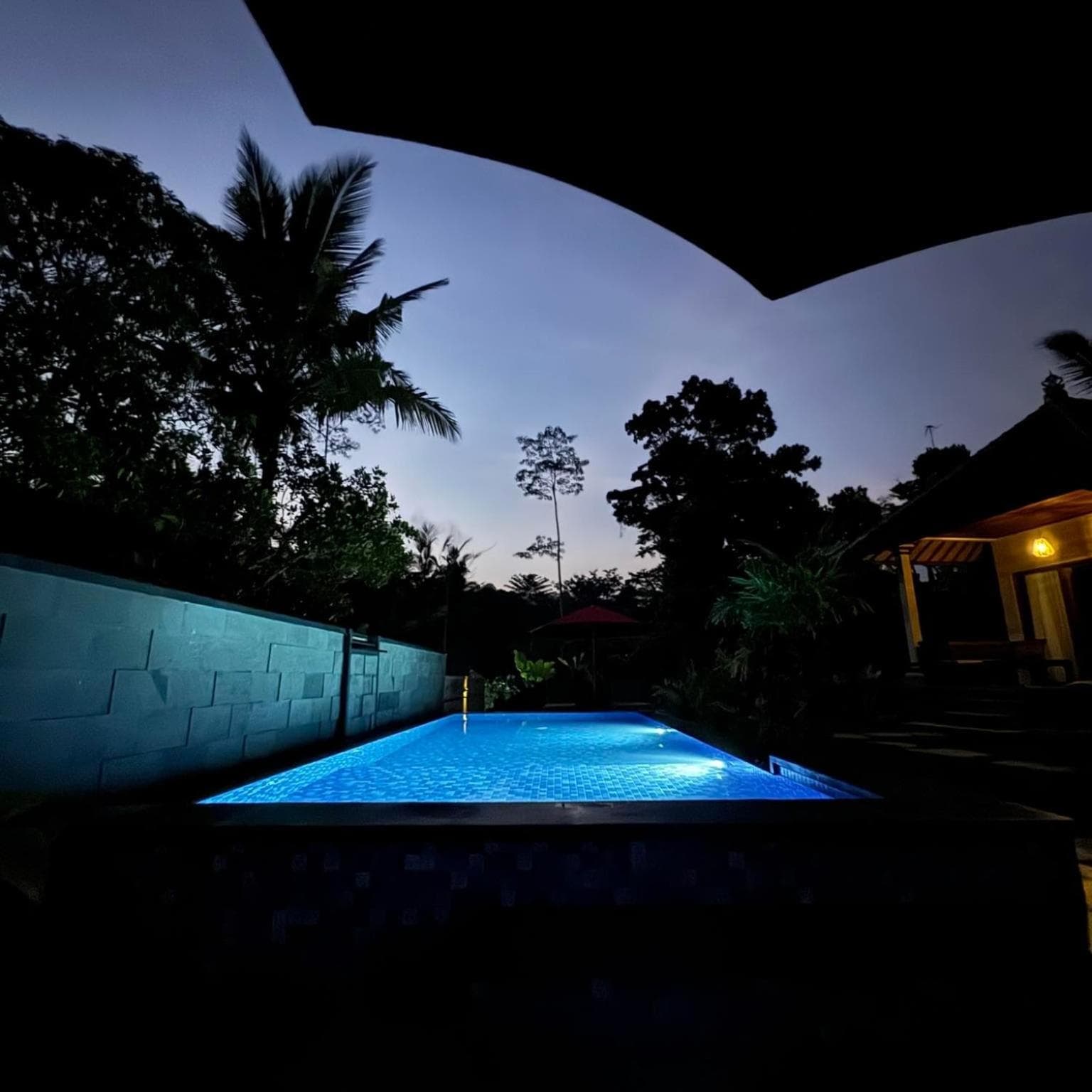 Intan sidemen villa photo 9