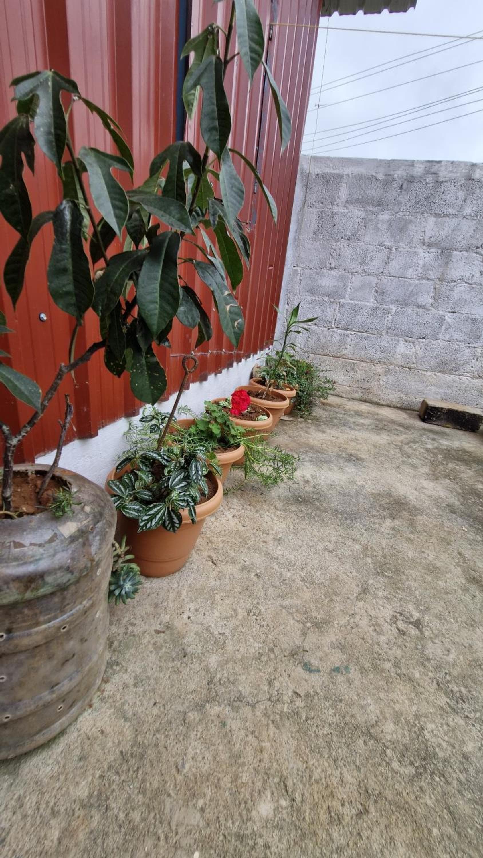 Malgudi Mane Homestay photo 8