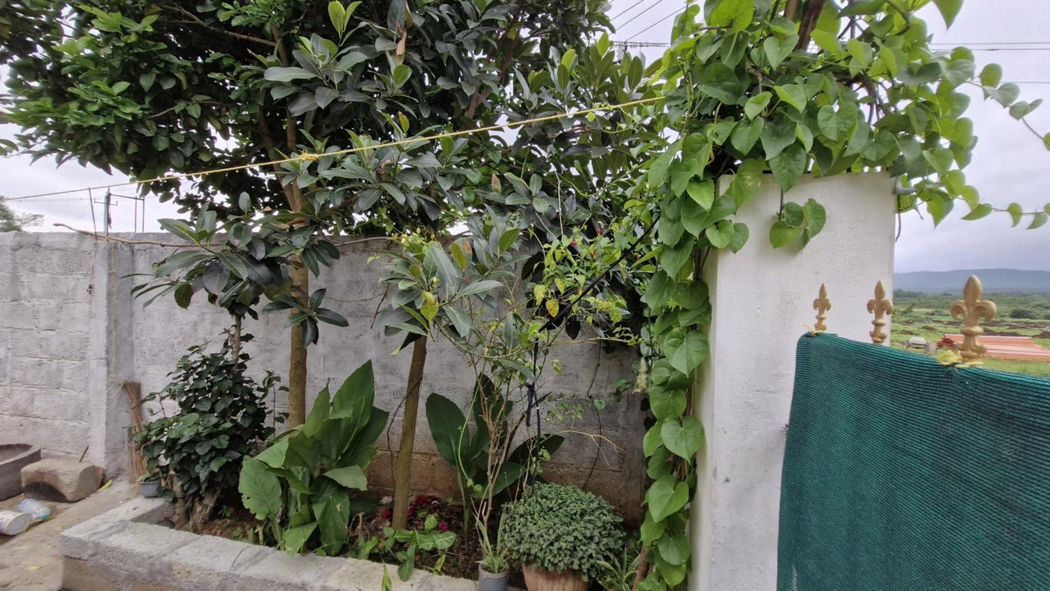 Malgudi Mane Homestay photo 3
