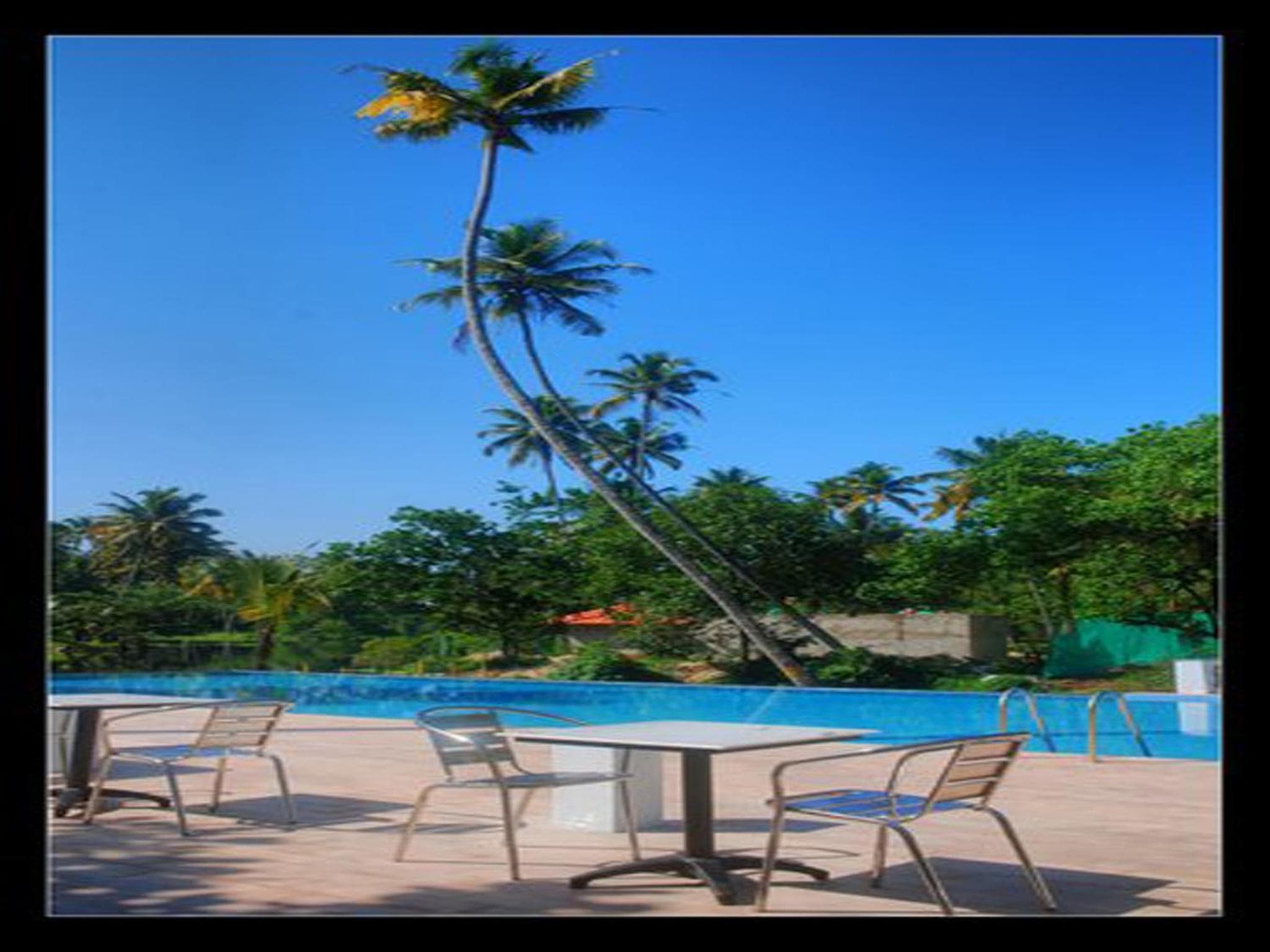 Abad Turtle Beach photo 9