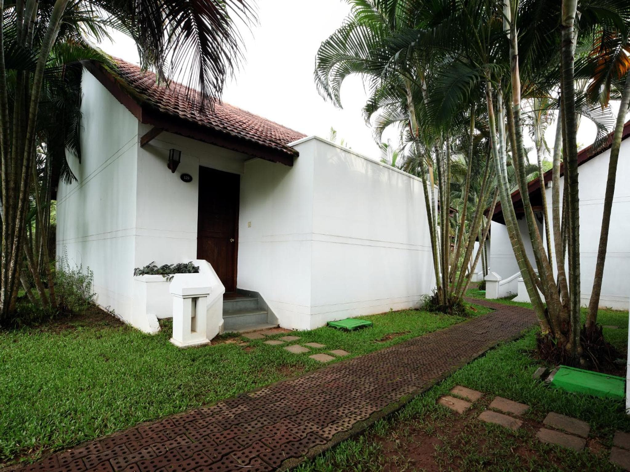 Abad Whispering Palms photo 6