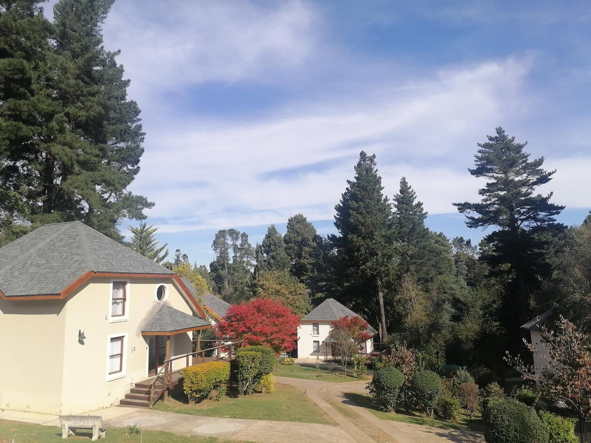 Hogsback Arminel Self catering Cottages photo 2