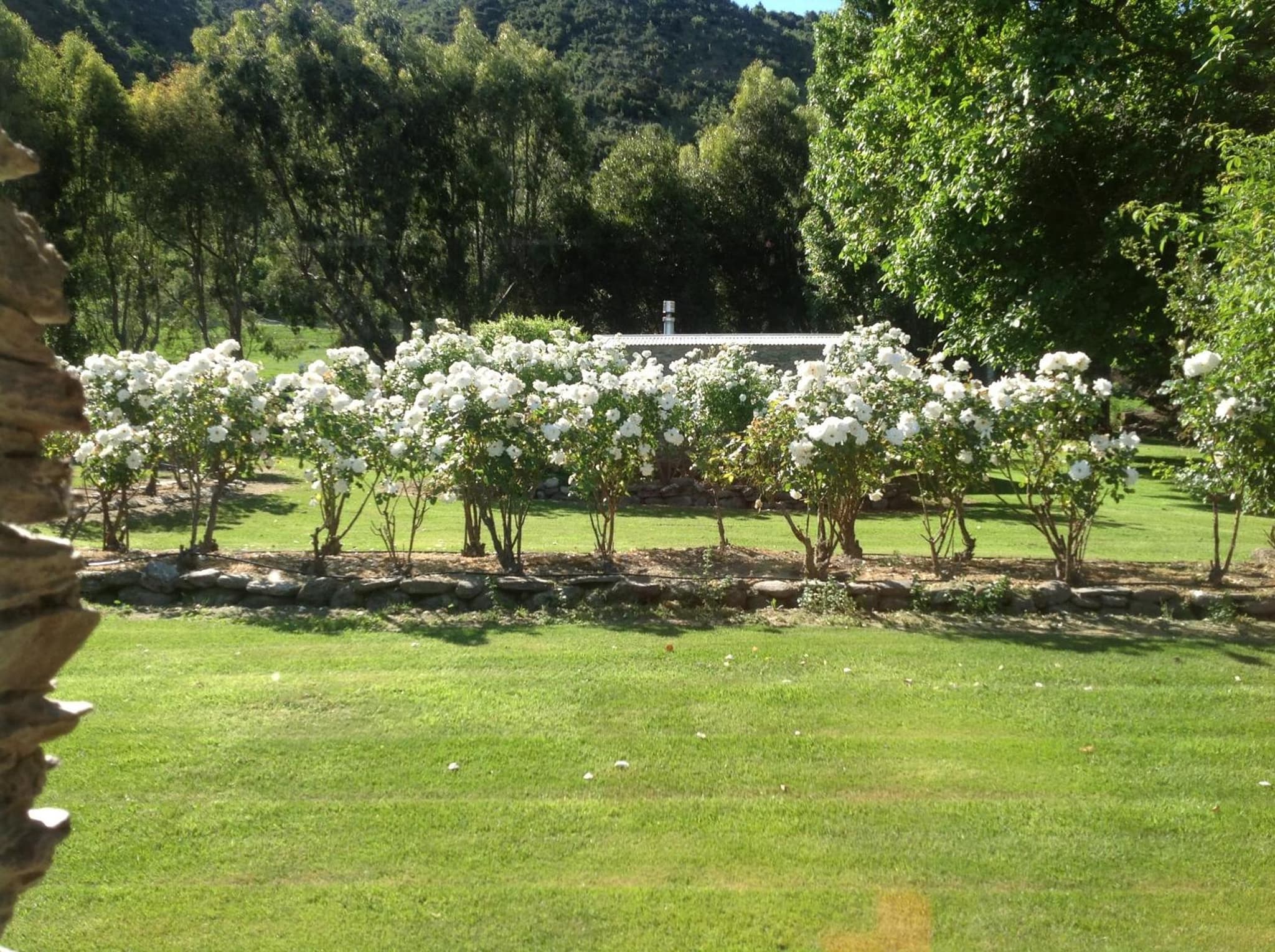 Queensberry Inn photo 5