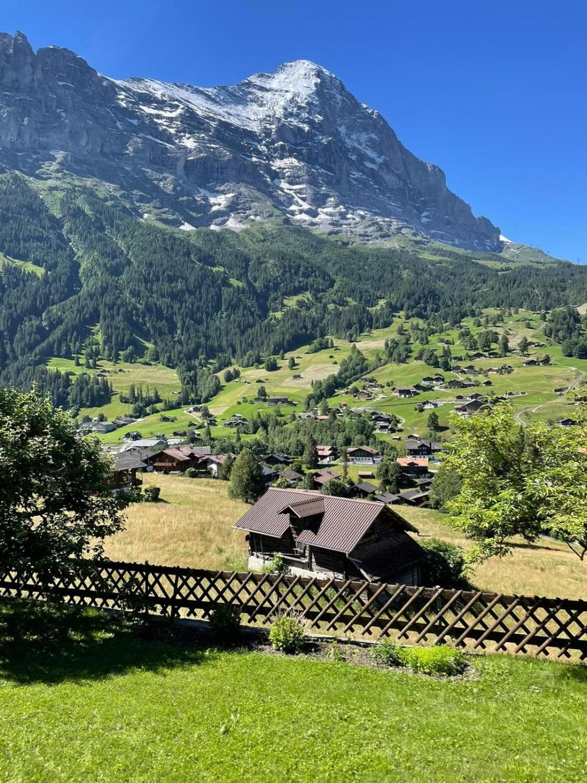 Cosy Swiss Apartment photo 3