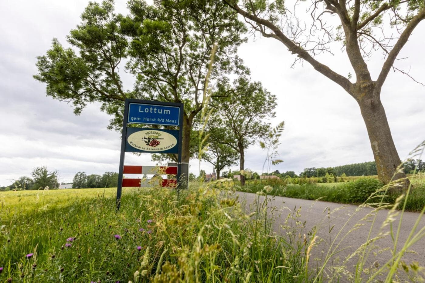 de Opperdonk photo 5
