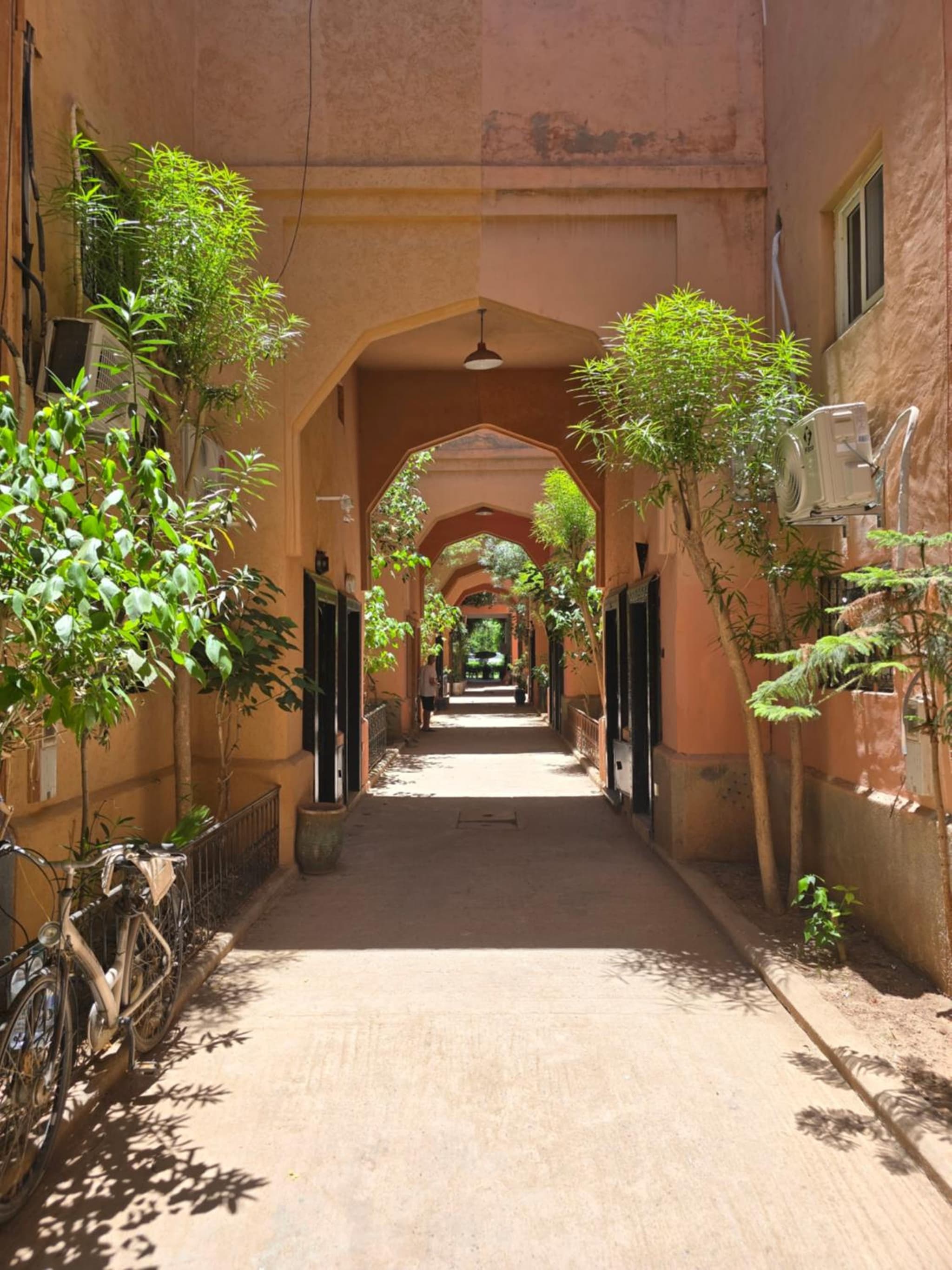 Riad Miralezia photo 9