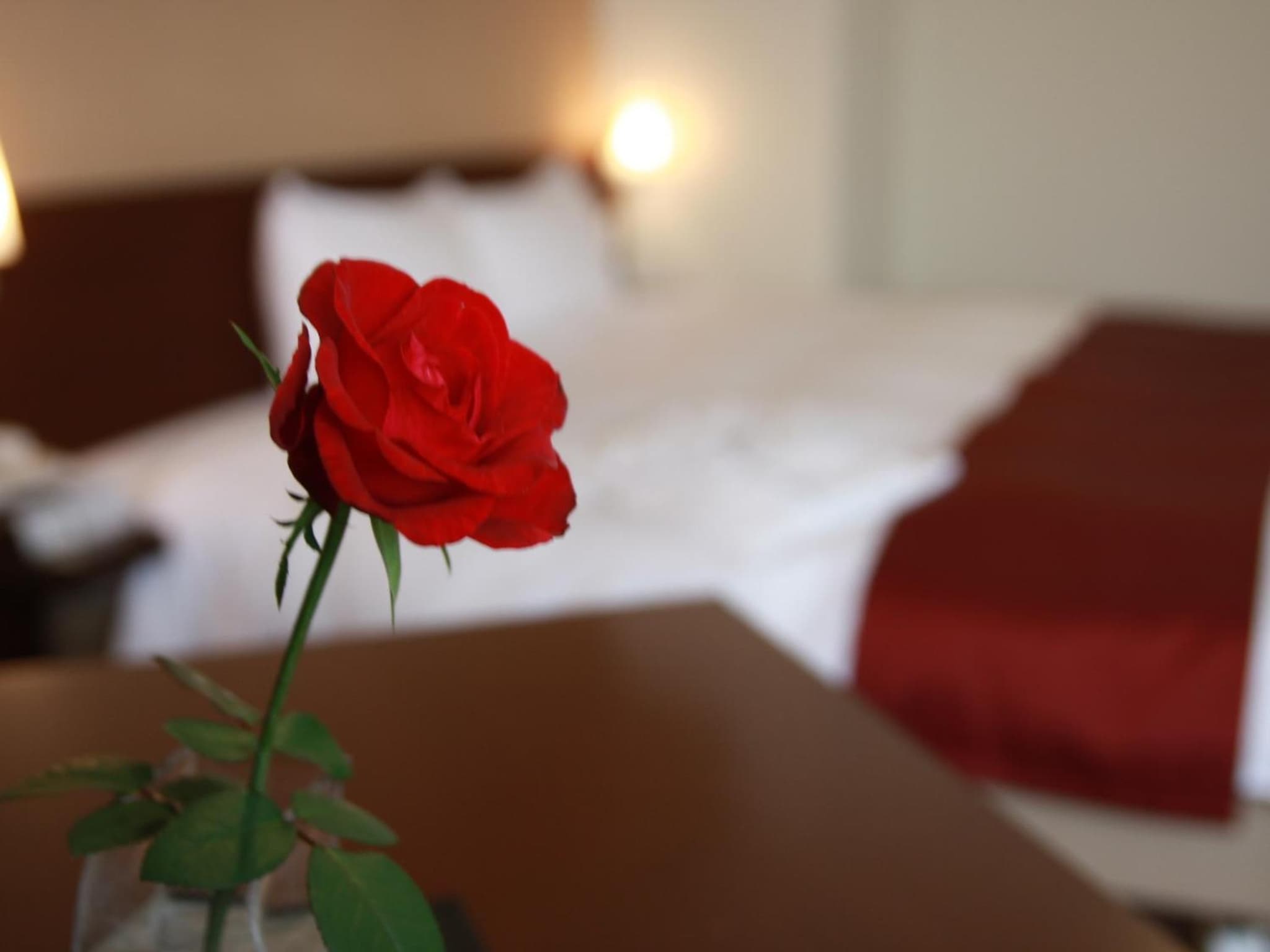 Kurume Hotel Esprit photo 5