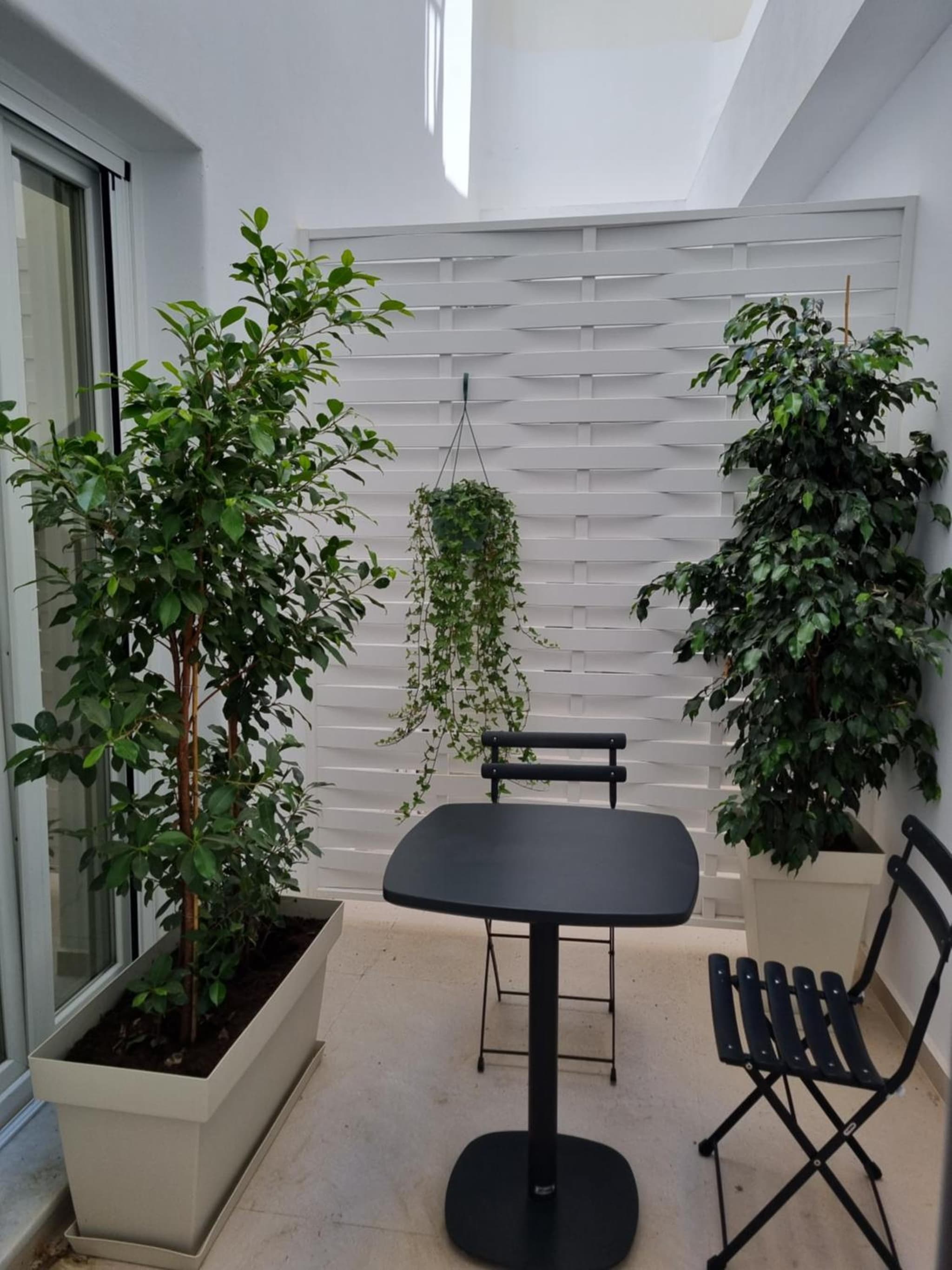 Majo Suites Hotel photo 8