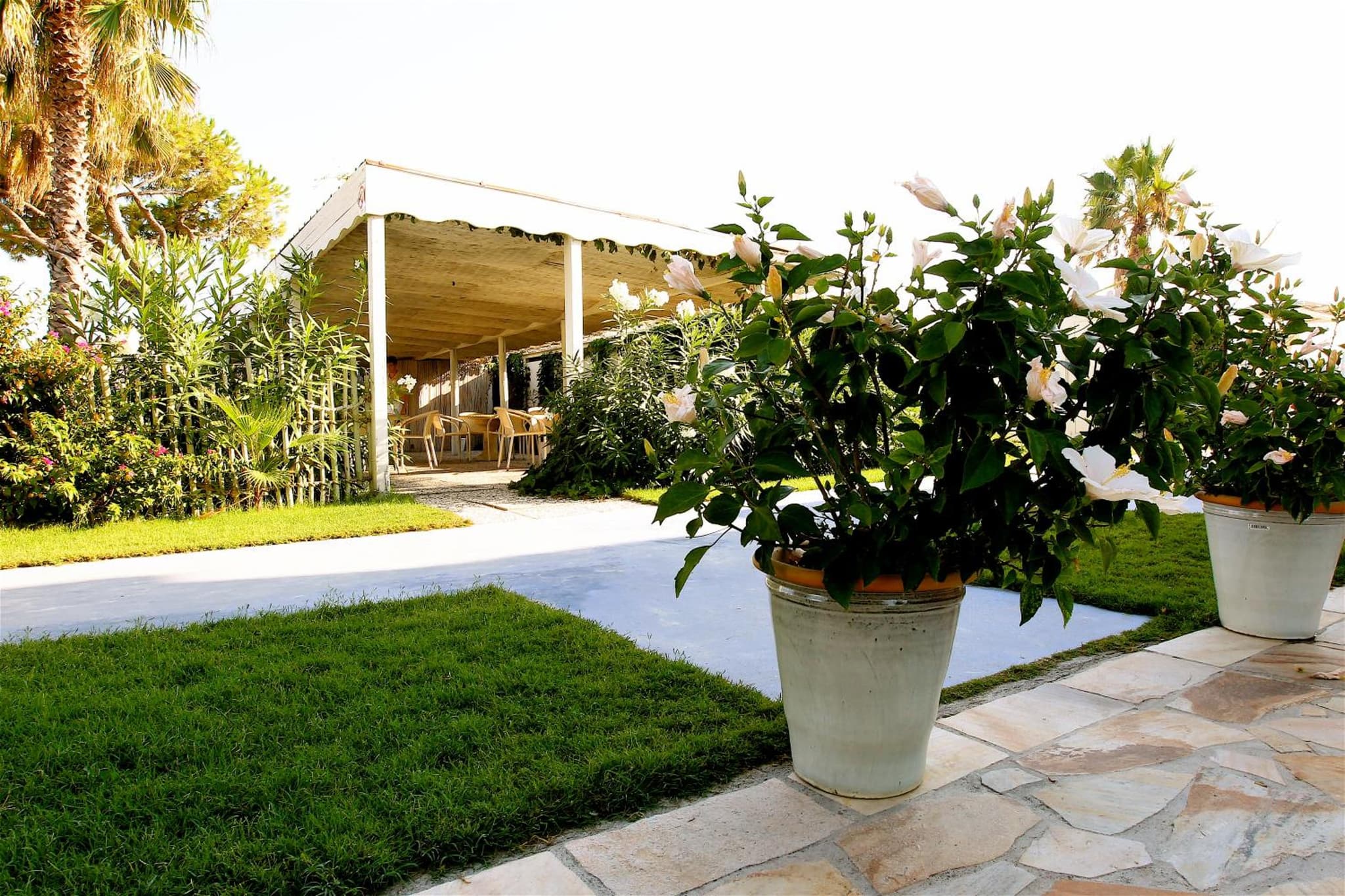 Hotel Bagni Lido photo 3