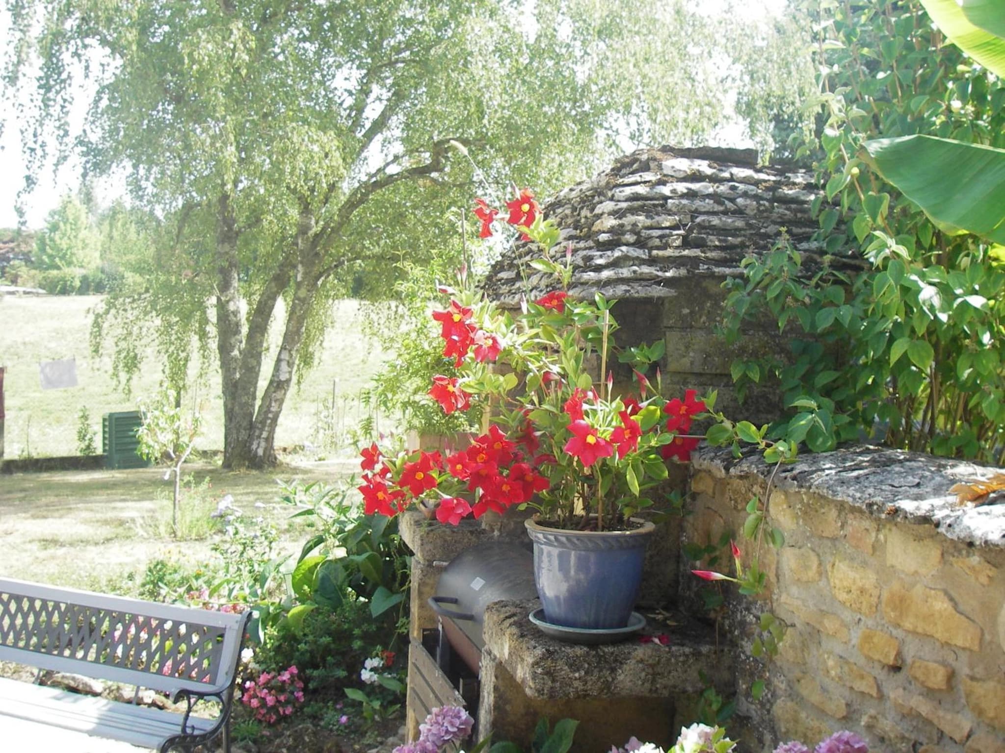 Les 4 Saisons photo 5