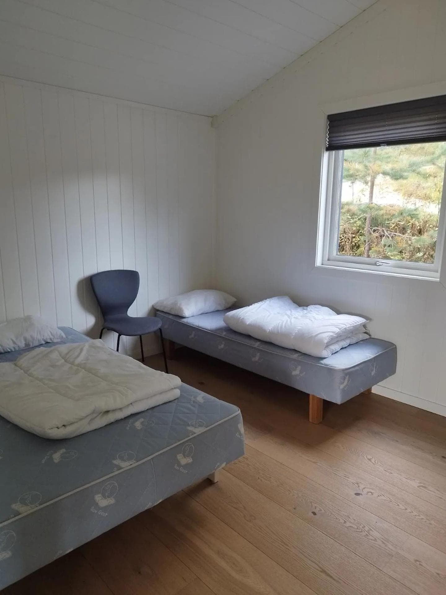 Bjønntjønn 229 photo 2