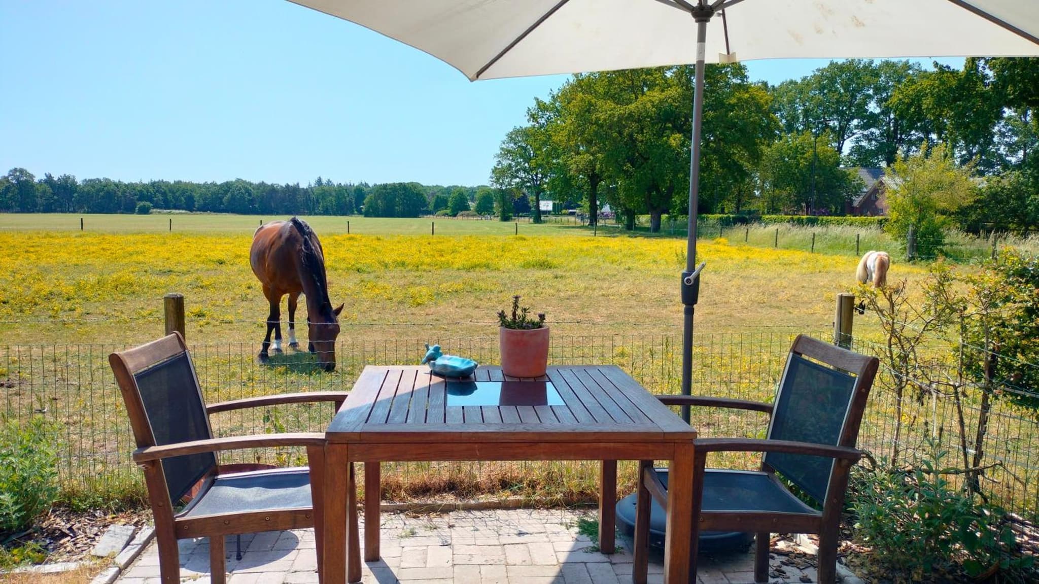 Bed and Breakfast Hammerhoeve photo 3