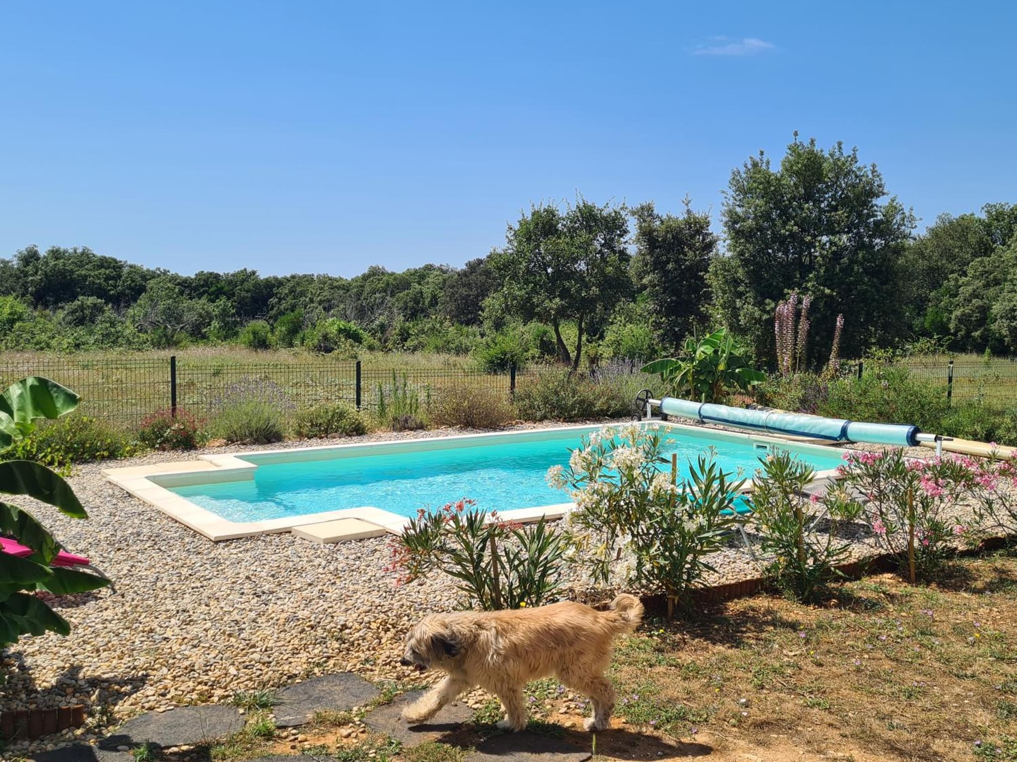 Le Petit Chêne photo 6
