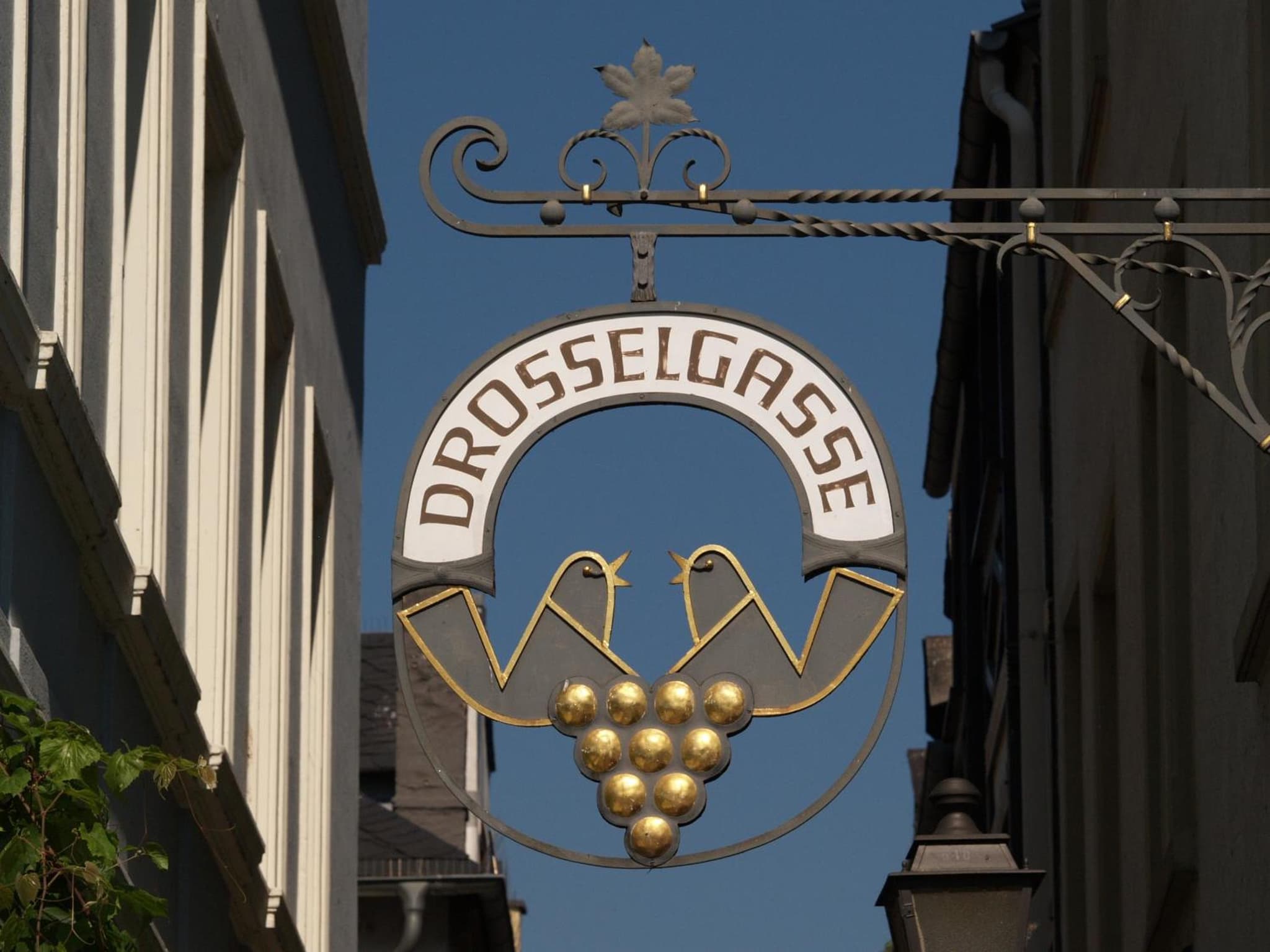 Hotel Trapp photo 3
