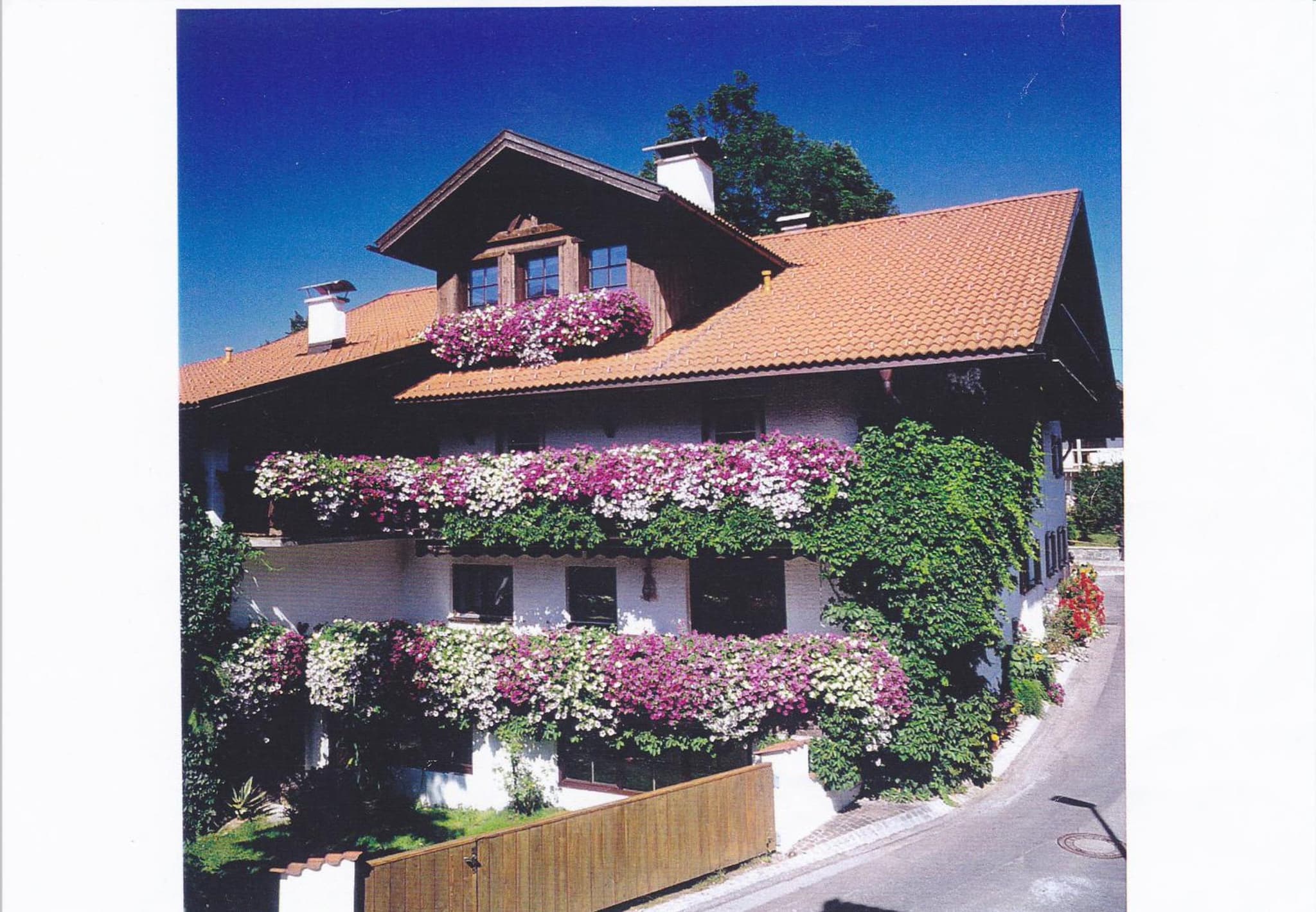 Gintherhof photo 8