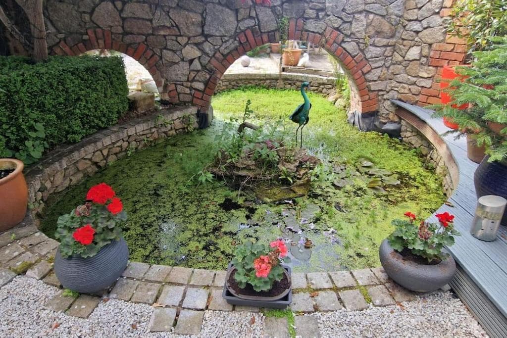 Hideaway Garden Paradise photo 3
