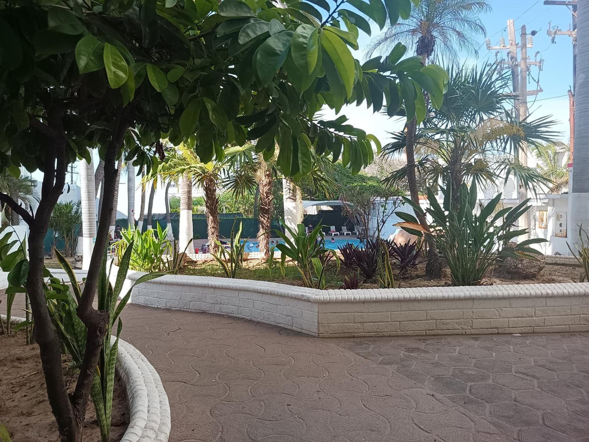 Hotel Essen's photo 9
