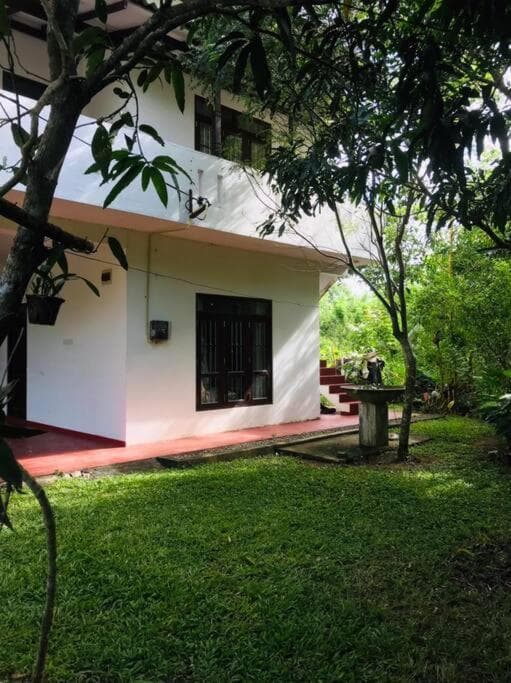 Mango tree view holiday house