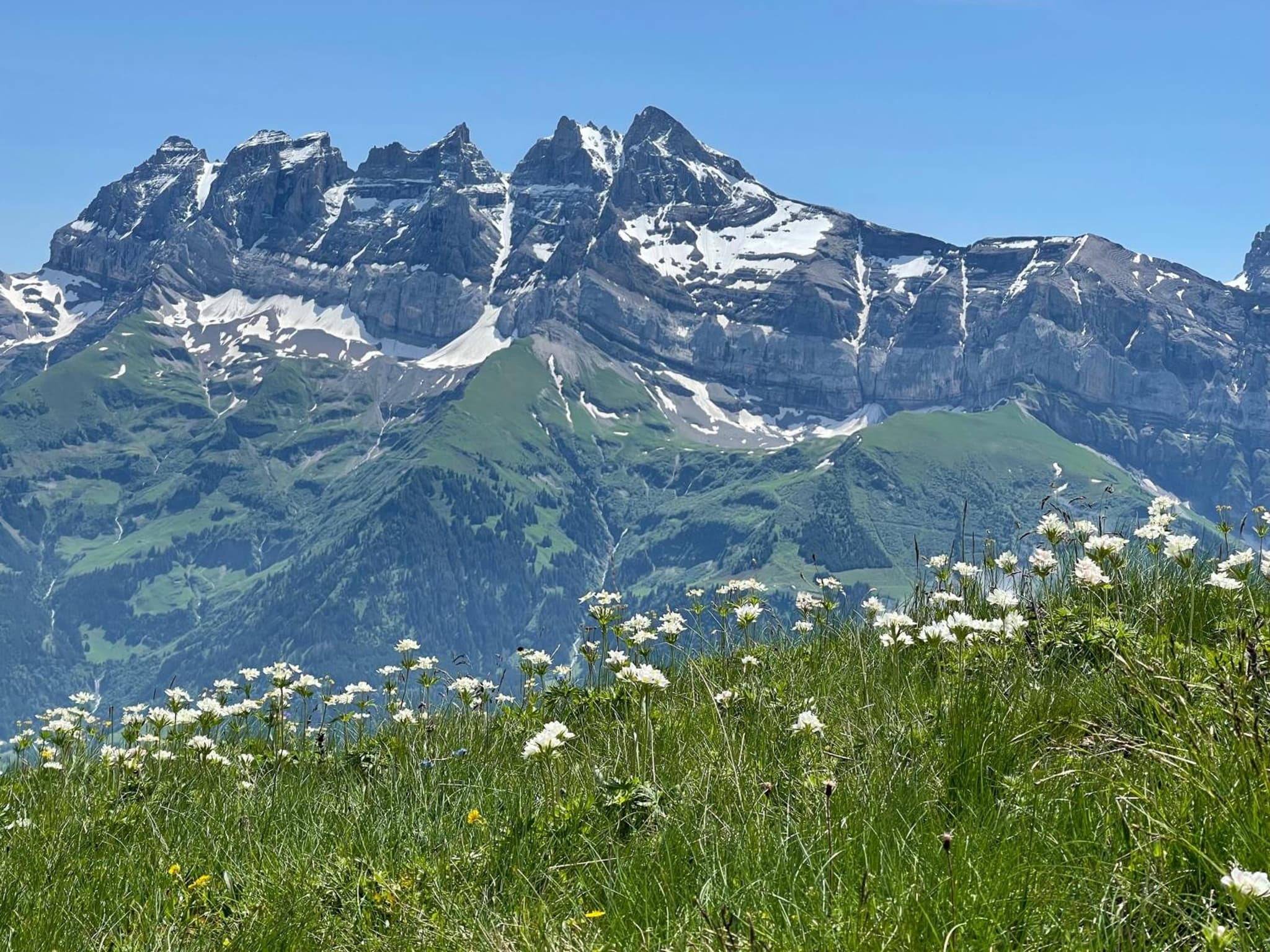 Chalet Montriond - Bike & Ski photo 4