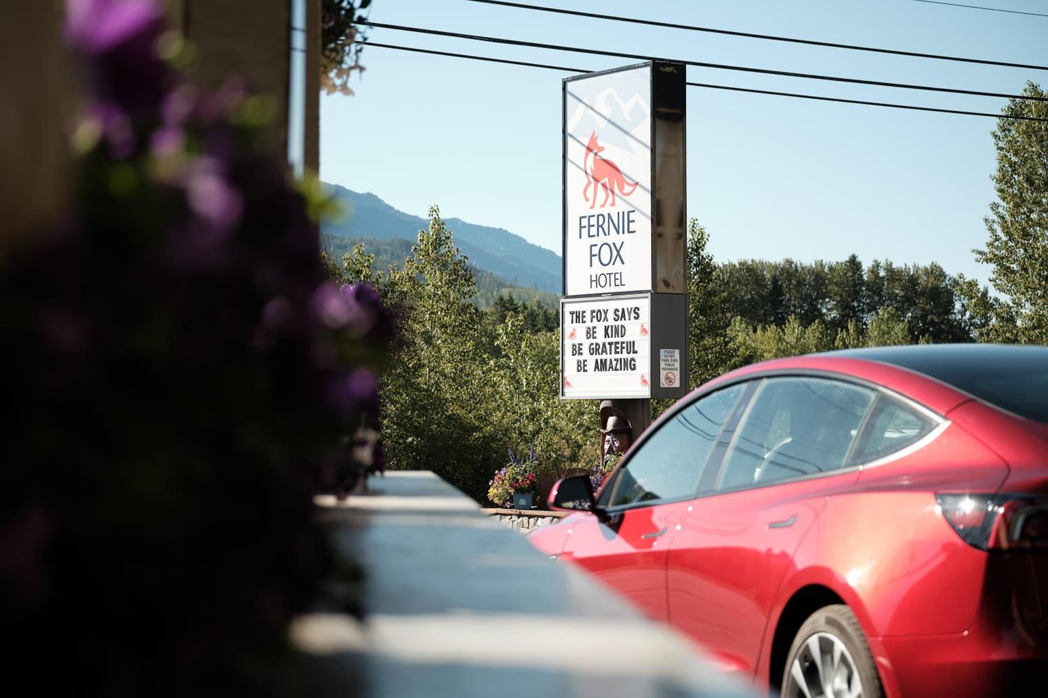 Fernie Fox Hotel photo 3