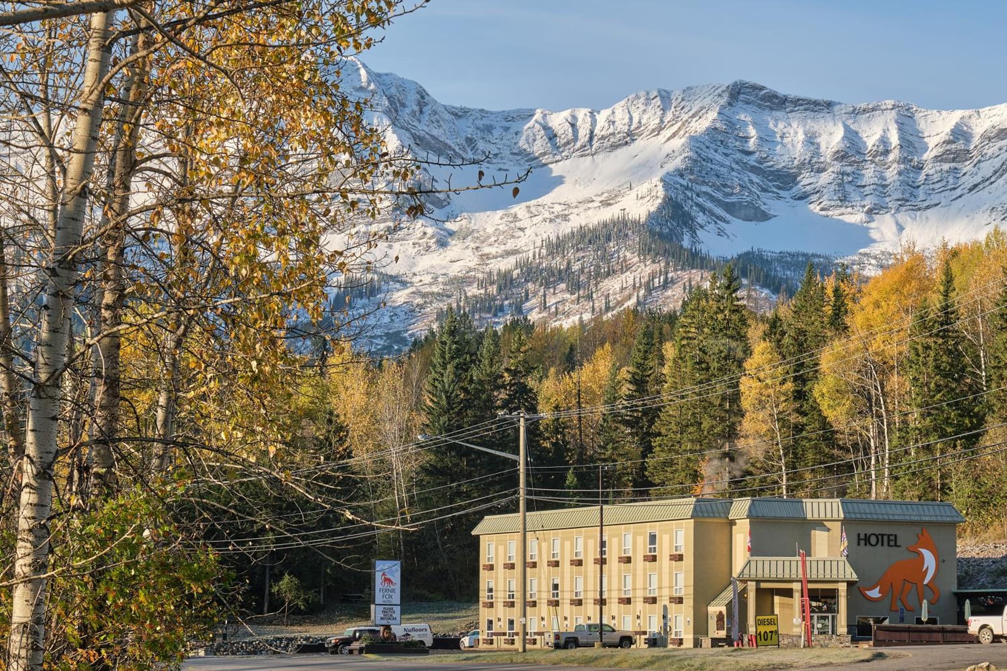 Fernie Fox Hotel photo 5
